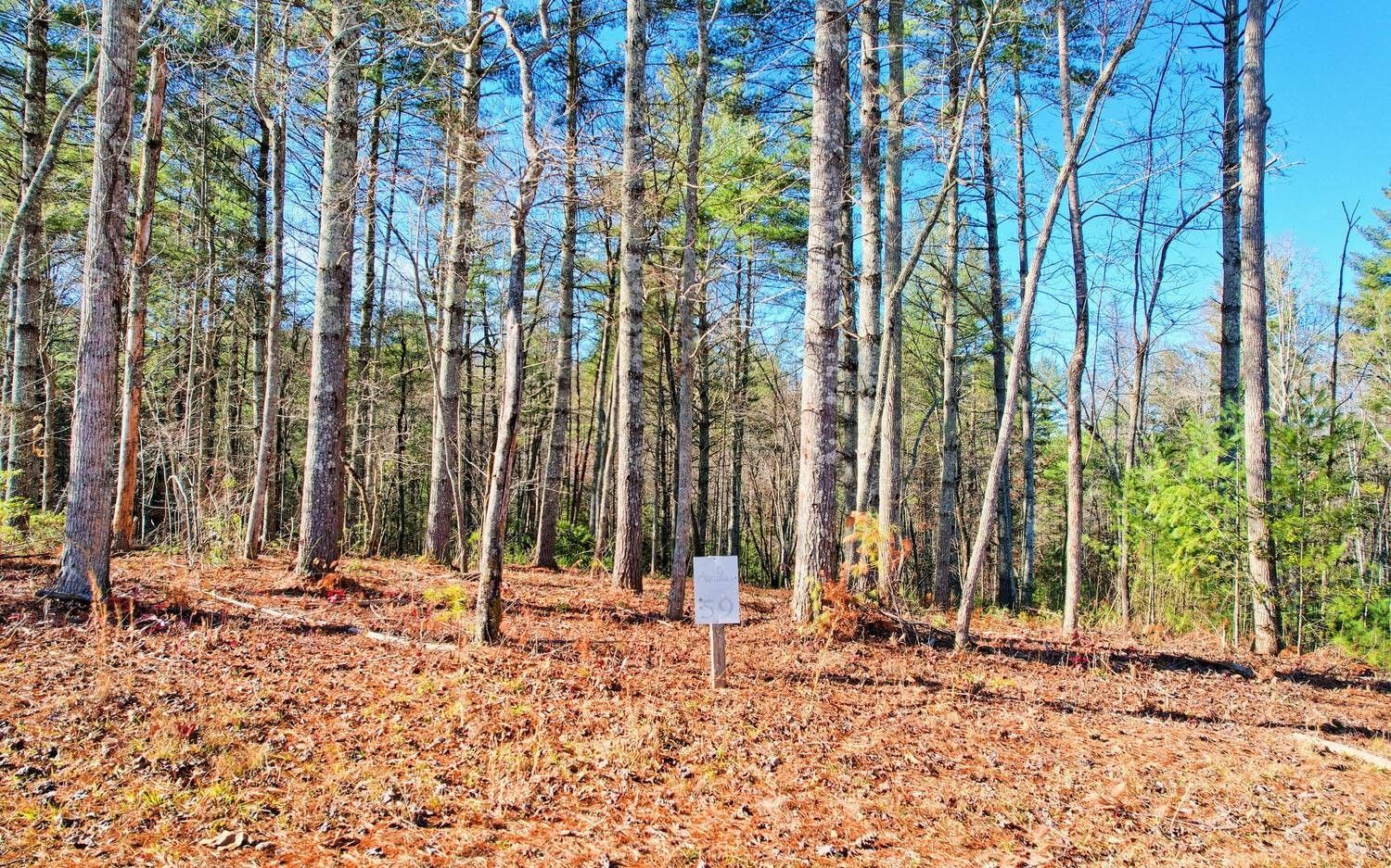 Blairsville, Union County, GA Homesites for sale Property ID 418546410