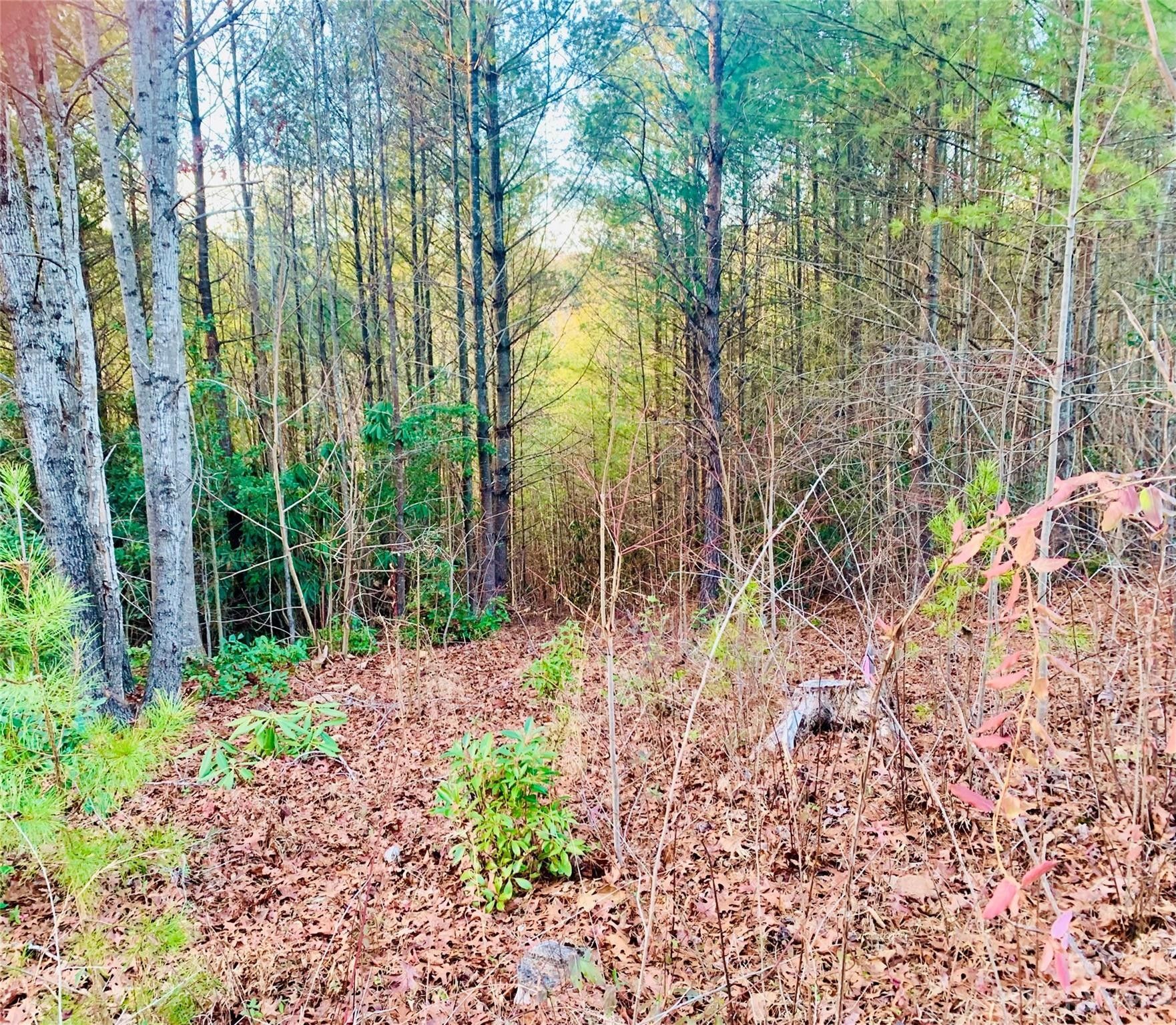 Lenoir, Caldwell County, NC Undeveloped Land, Homesites for sale