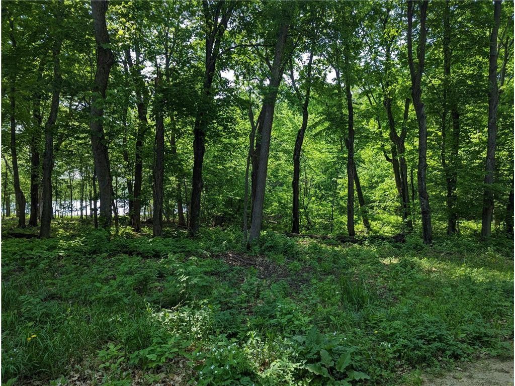 Kensington, Douglas County, MN Undeveloped Land, Lakefront Property