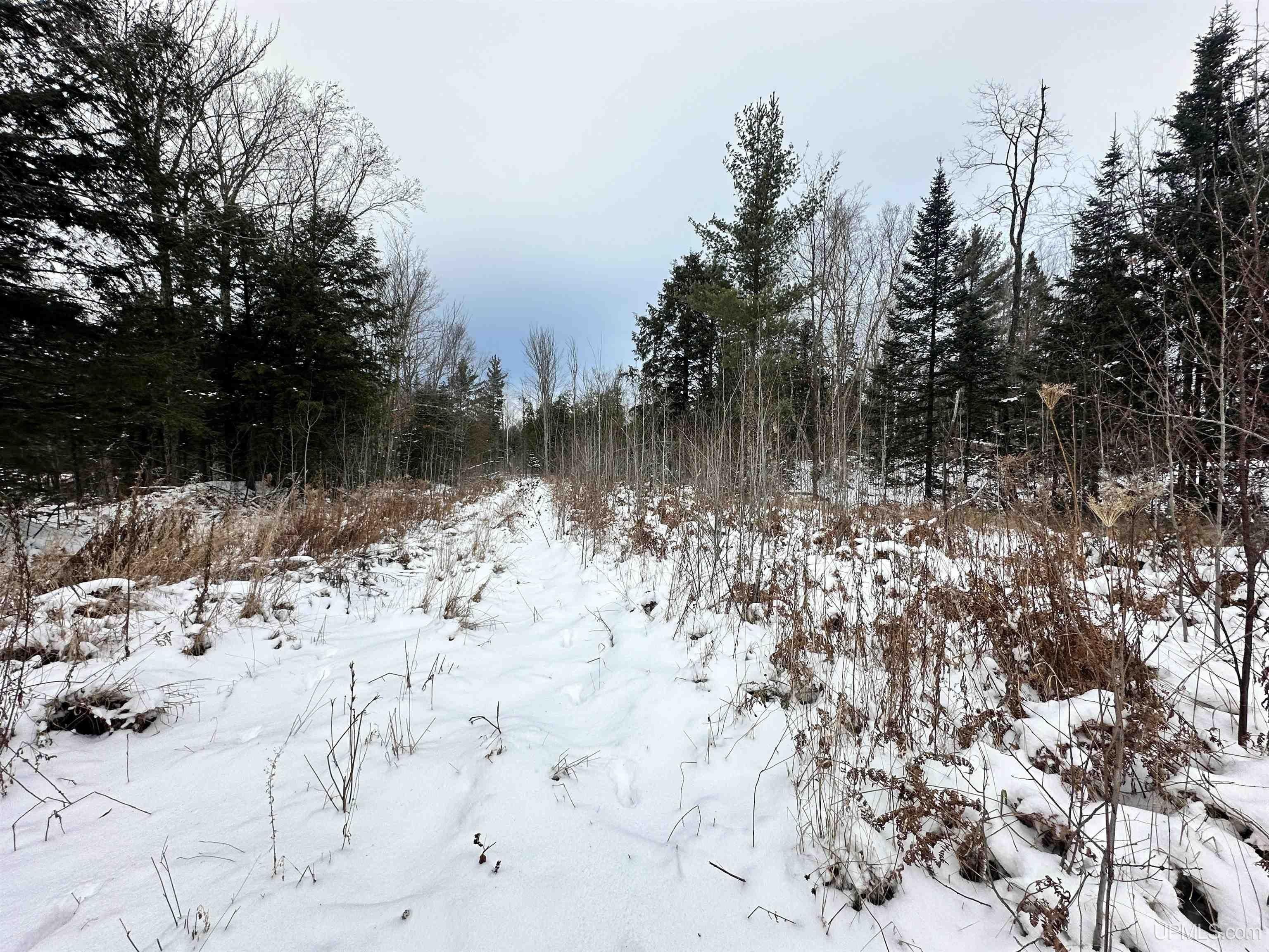 Skandia, Marquette County, MI Undeveloped Land, Lakefront Property, Waterfront Property for sale