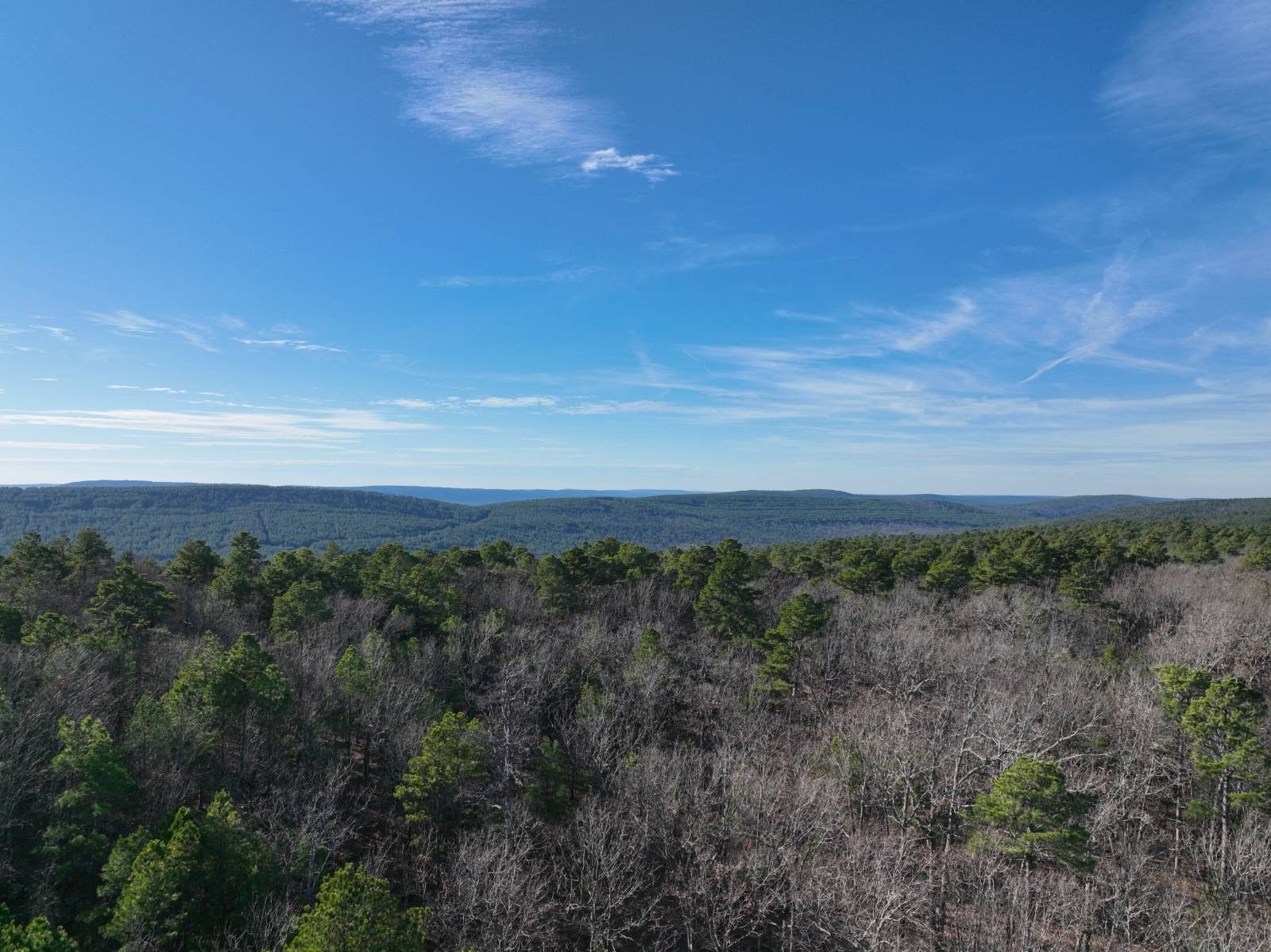 Clayton, Pushmataha County, OK Undeveloped Land for sale Property ID
