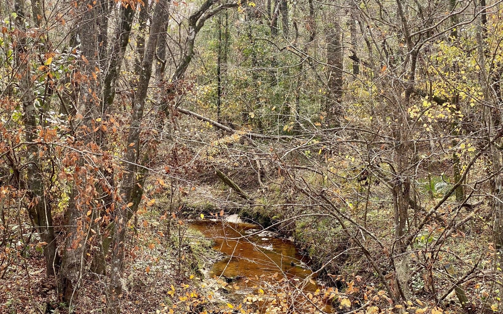 Jasper, Hamilton County, FL Undeveloped Land for sale Property ID