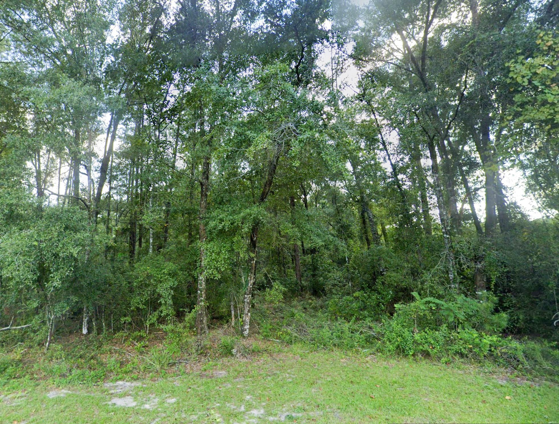 Jesup, Wayne County, GA Undeveloped Land, Homesites for sale Property