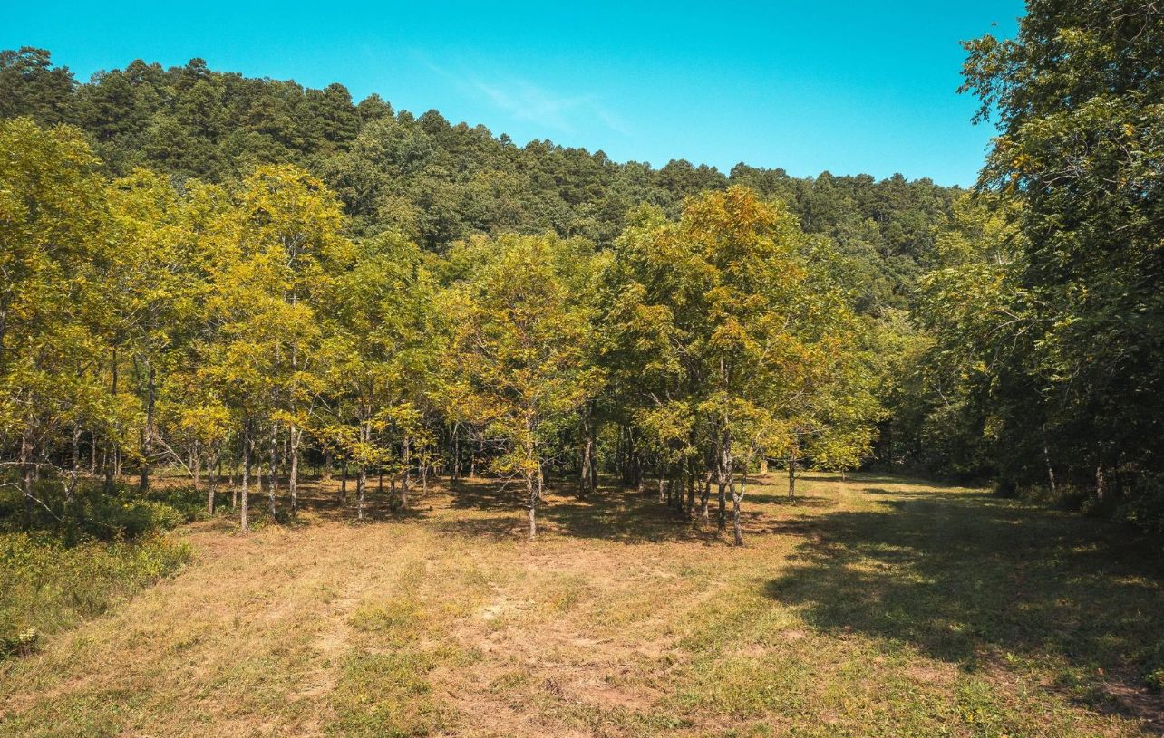 Paddy Chapel Road, Roby, MO 65557 LandWatch