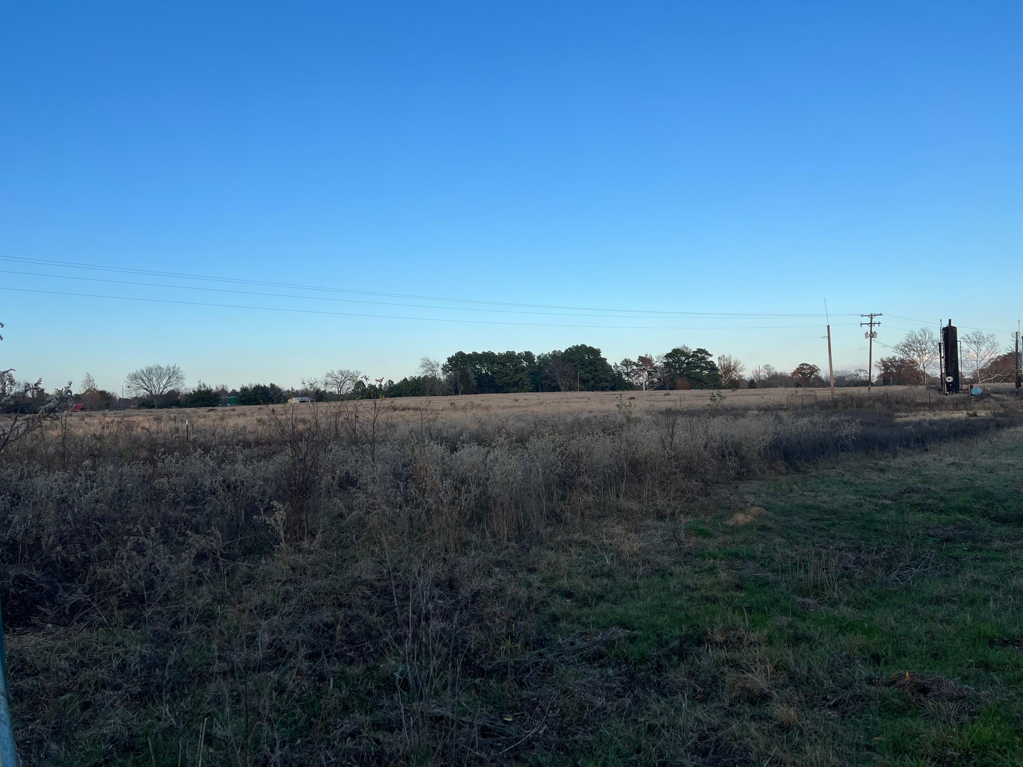 CR 4165, Quitman, TX 75783 MLS GTAR LandWatch
