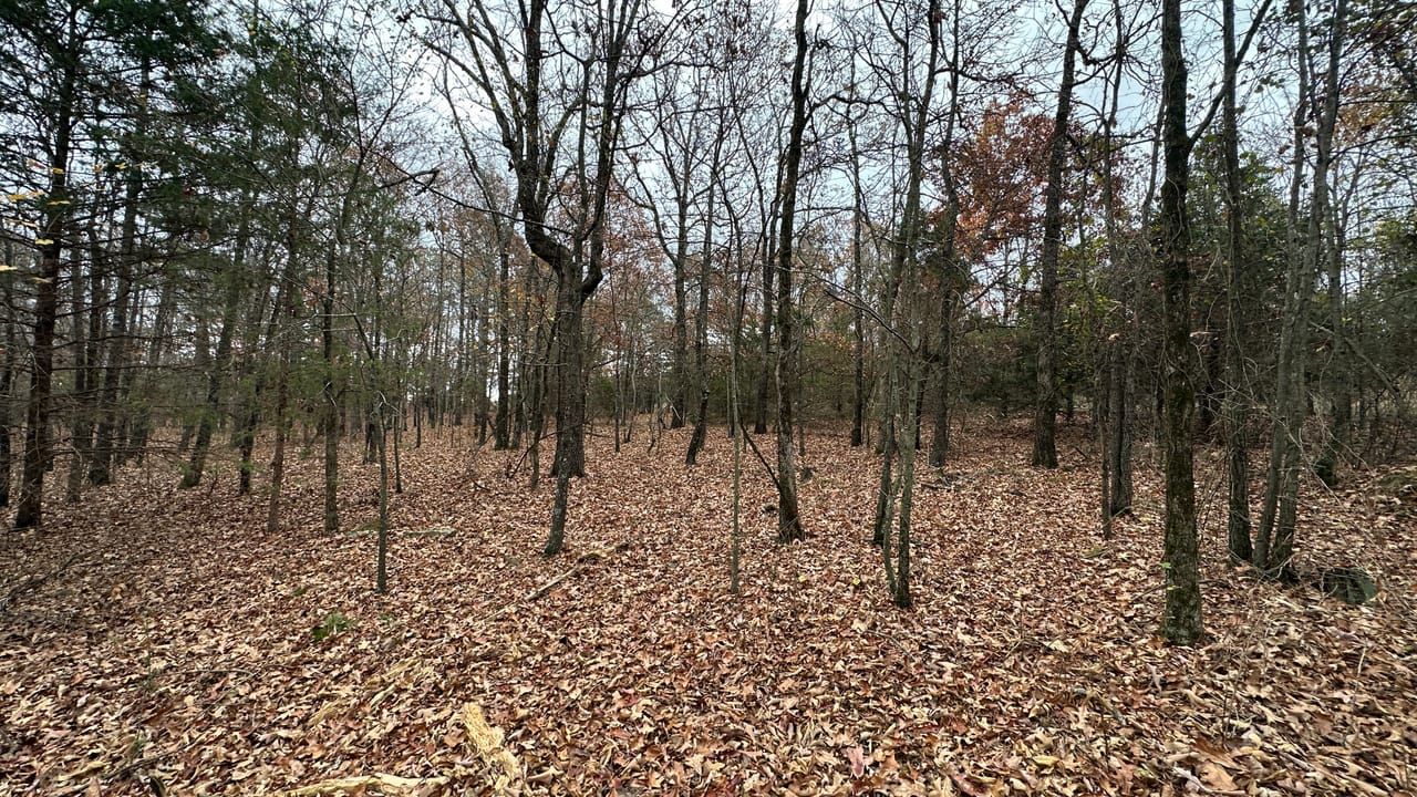 Bradford, Jackson County, AR Recreational Property, Timberland Property