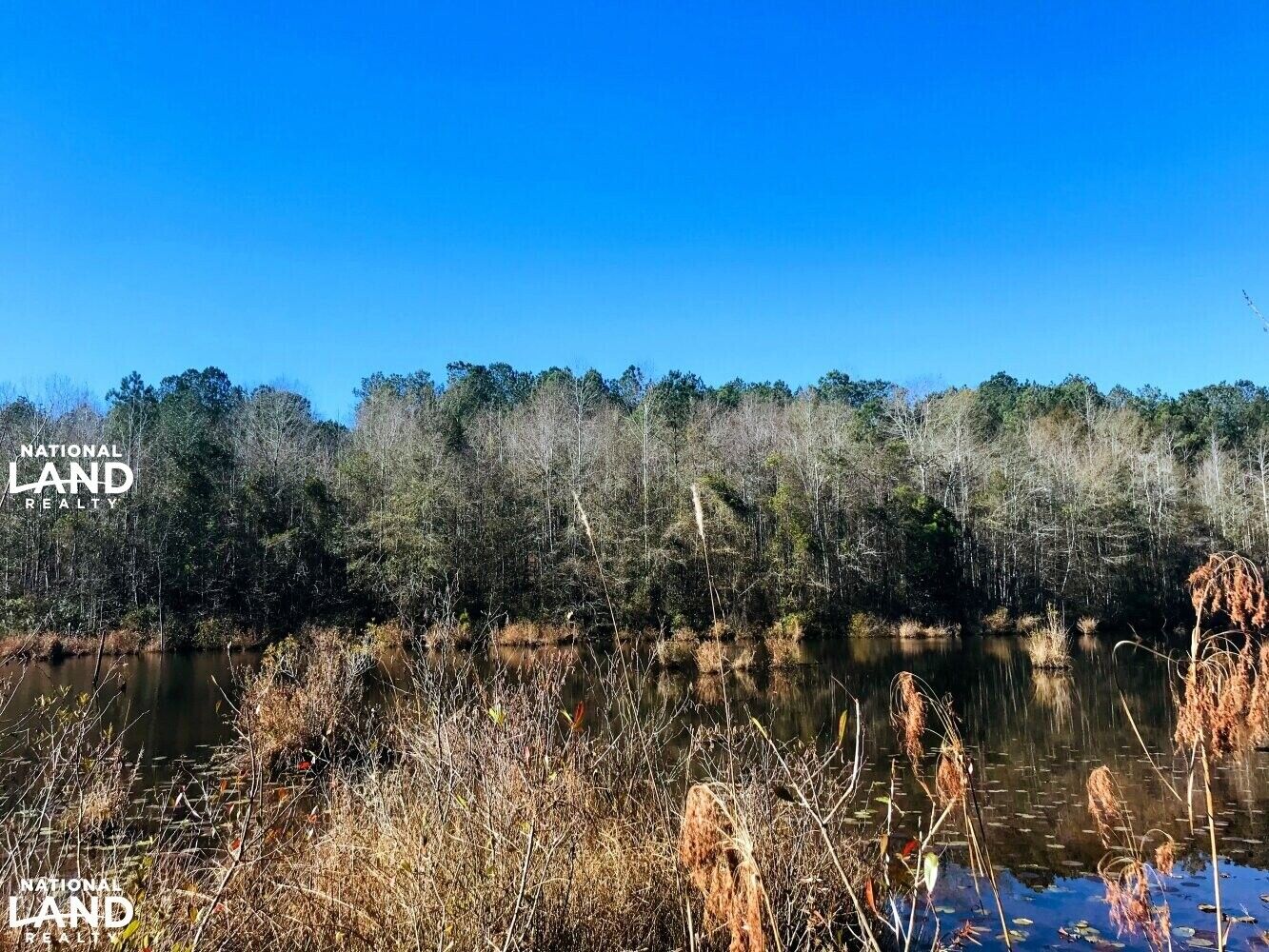 0 JB Albritton Road, Ellaville, GA 31806 LandWatch