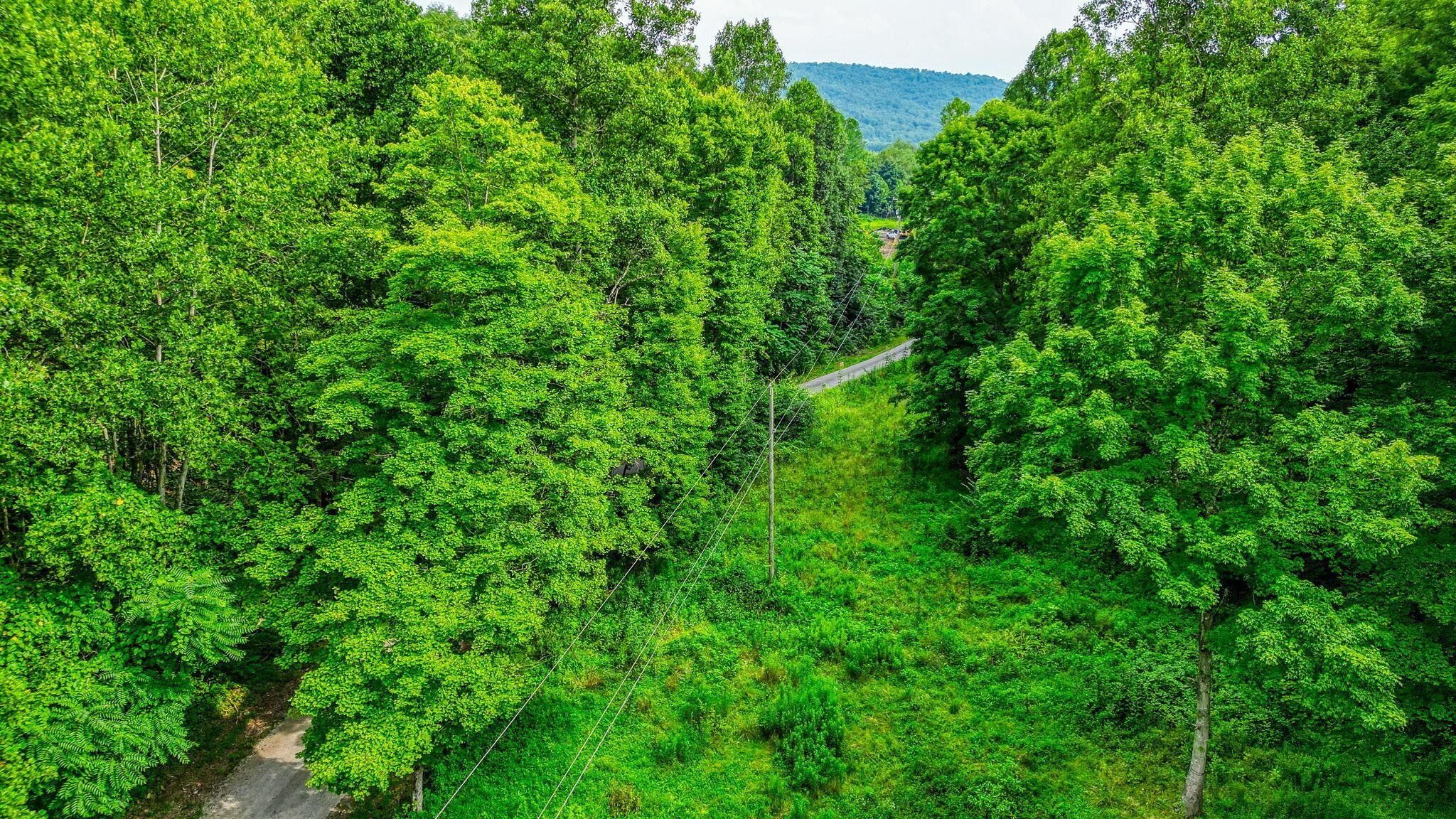 Latham, Pike County, OH Undeveloped Land for sale Property ID