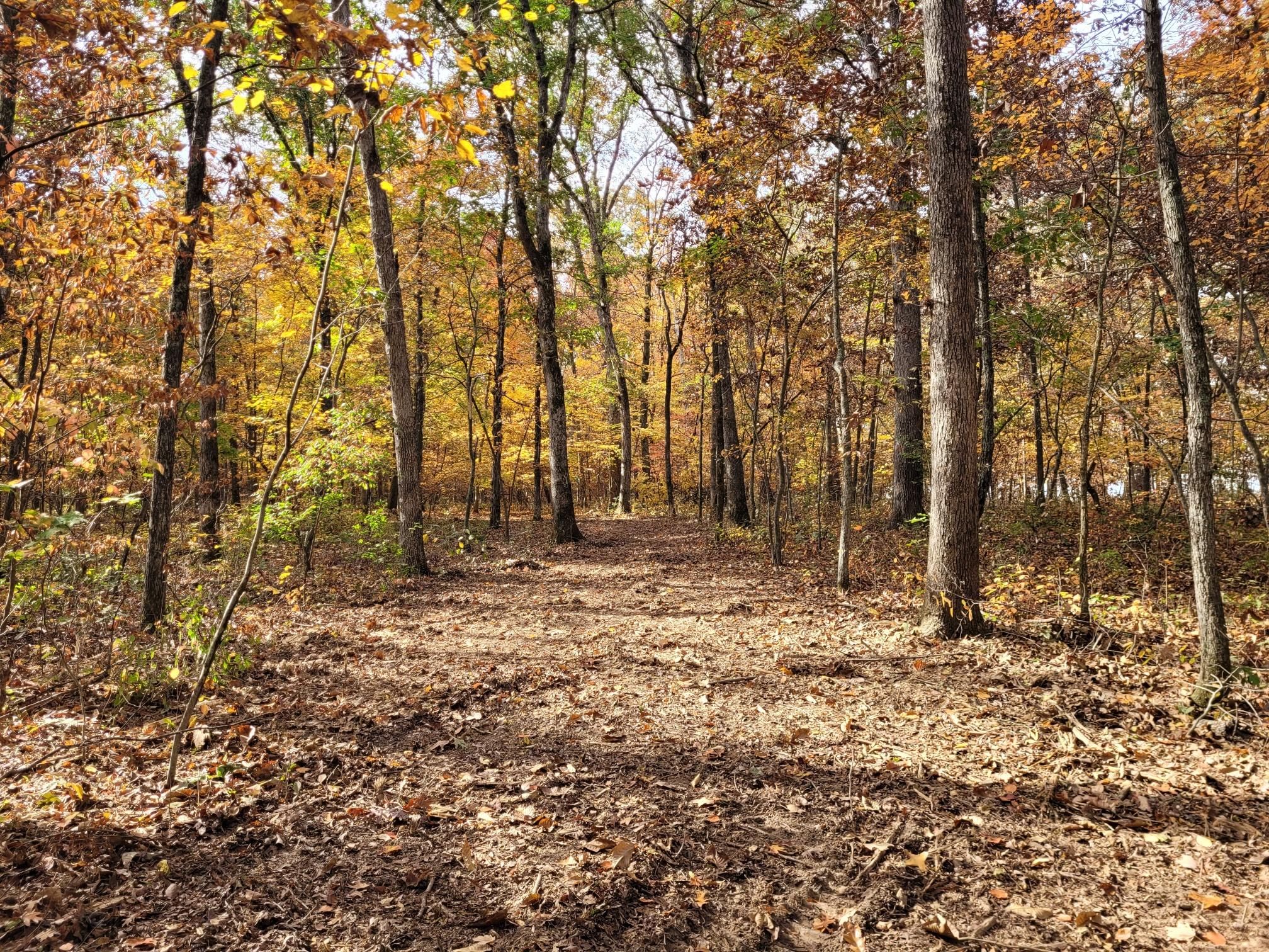 Silex, Lincoln County, MO Recreational Property, Hunting Property for