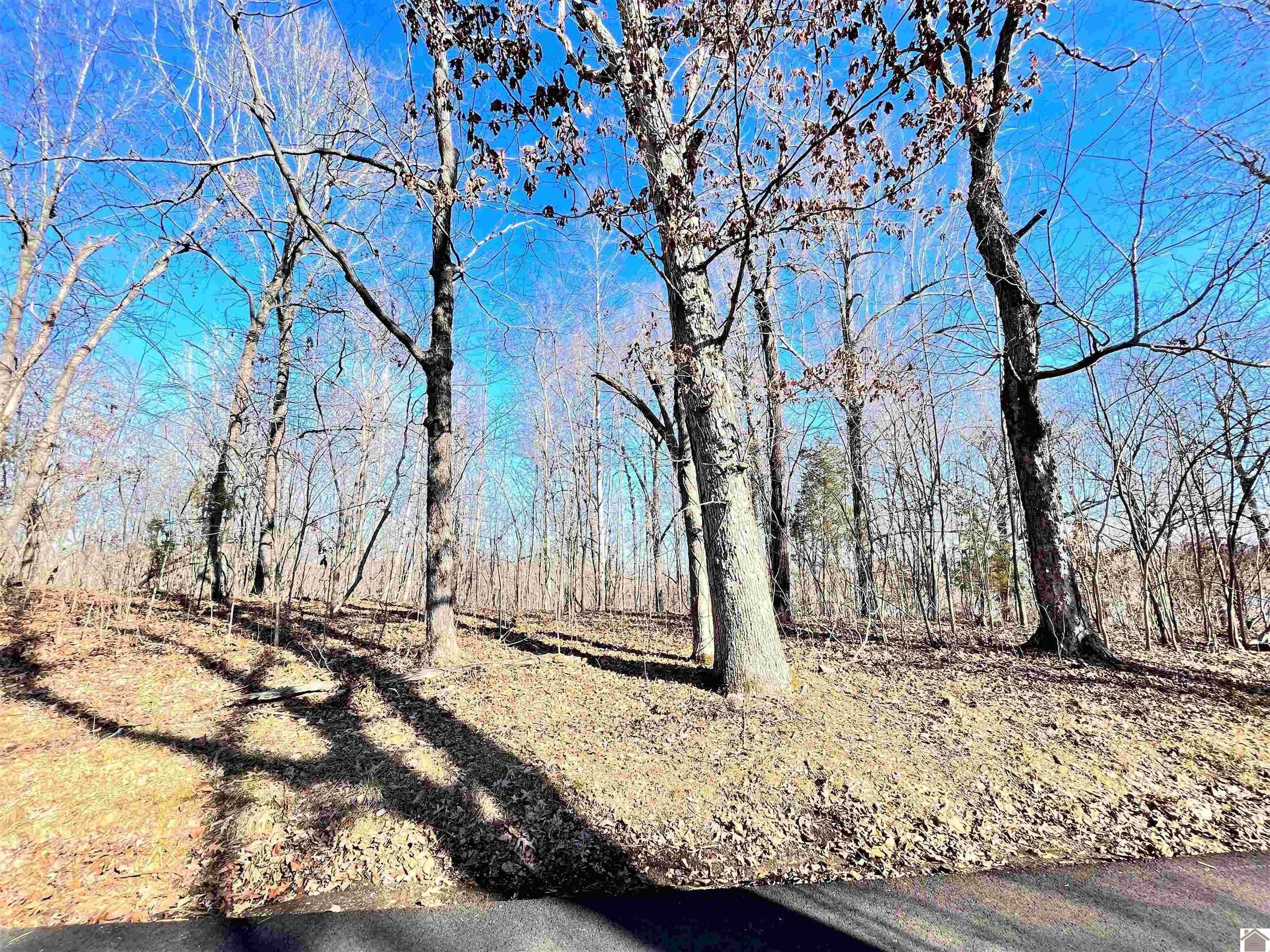 Eddyville, Lyon County, KY Undeveloped Land, Homesites for sale