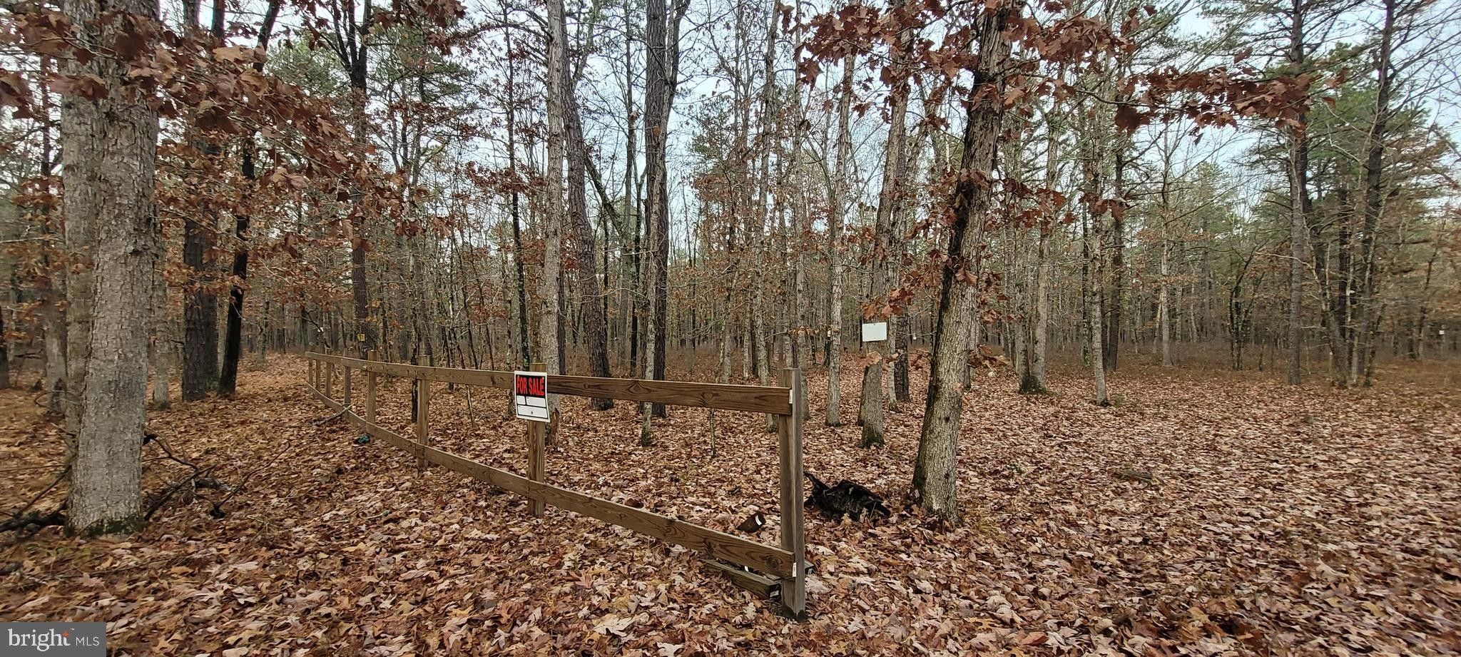 Newtonville, Atlantic County, NJ Undeveloped Land for sale Property ID 418554284 LandWatch
