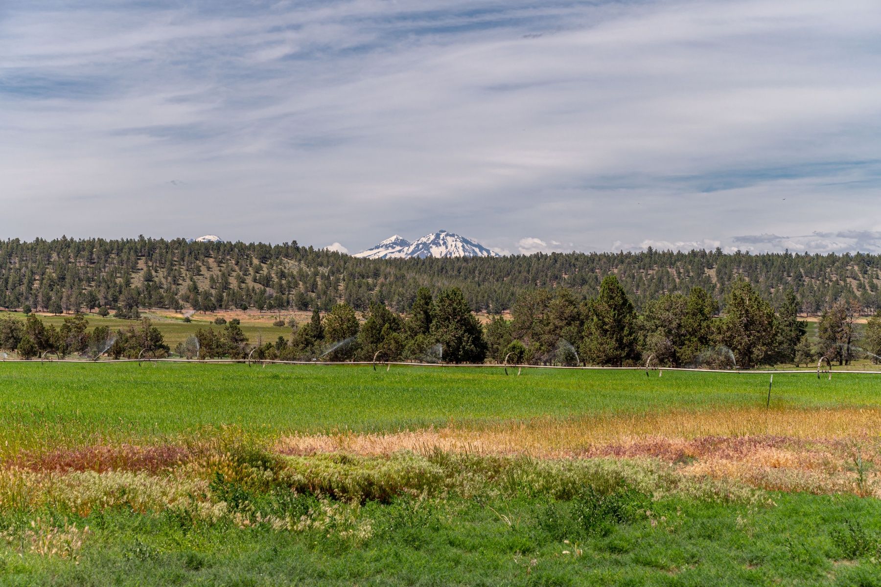 Terrebonne, Deschutes County, OR Undeveloped Land for sale Property ID