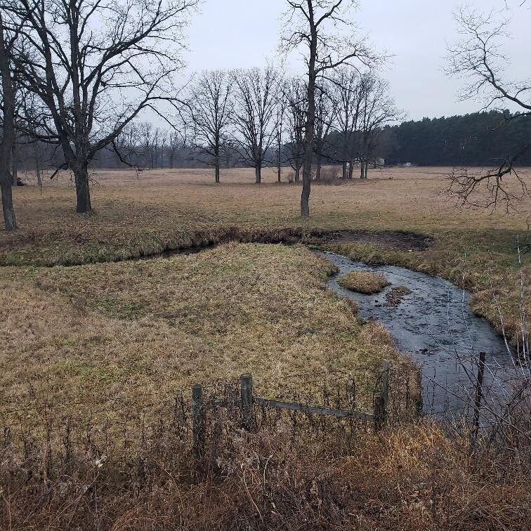 Rockford, Kent County, MI Undeveloped Land, Lakefront Property