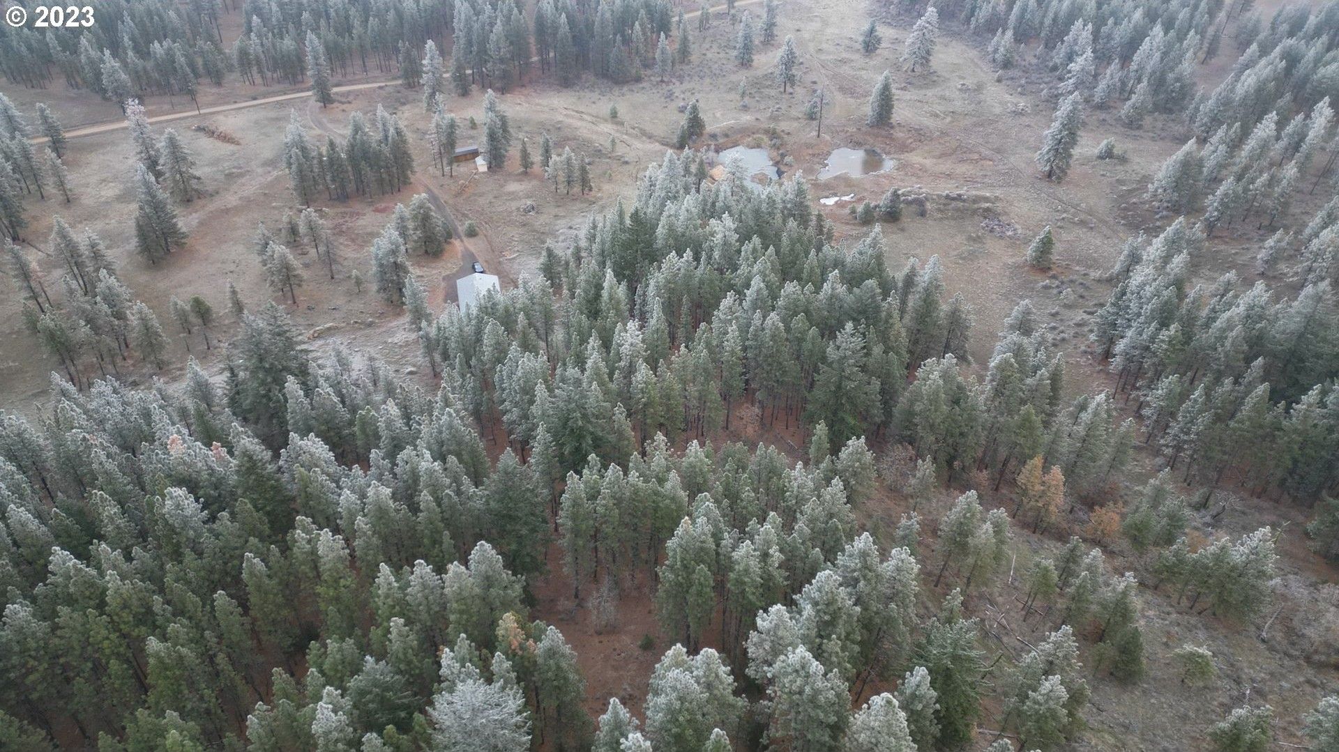 Goldendale, Klickitat County, WA Undeveloped Land for sale Property ID