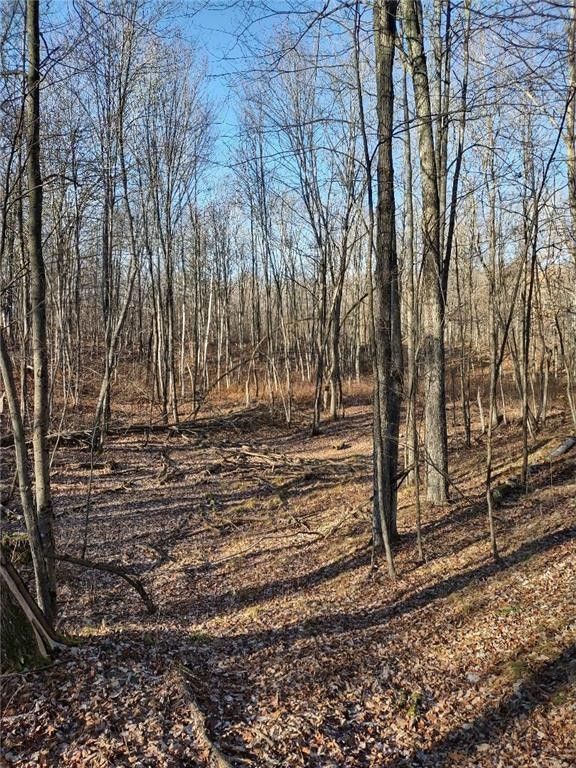 Springbrook, Washburn County, WI Undeveloped Land for sale Property ID