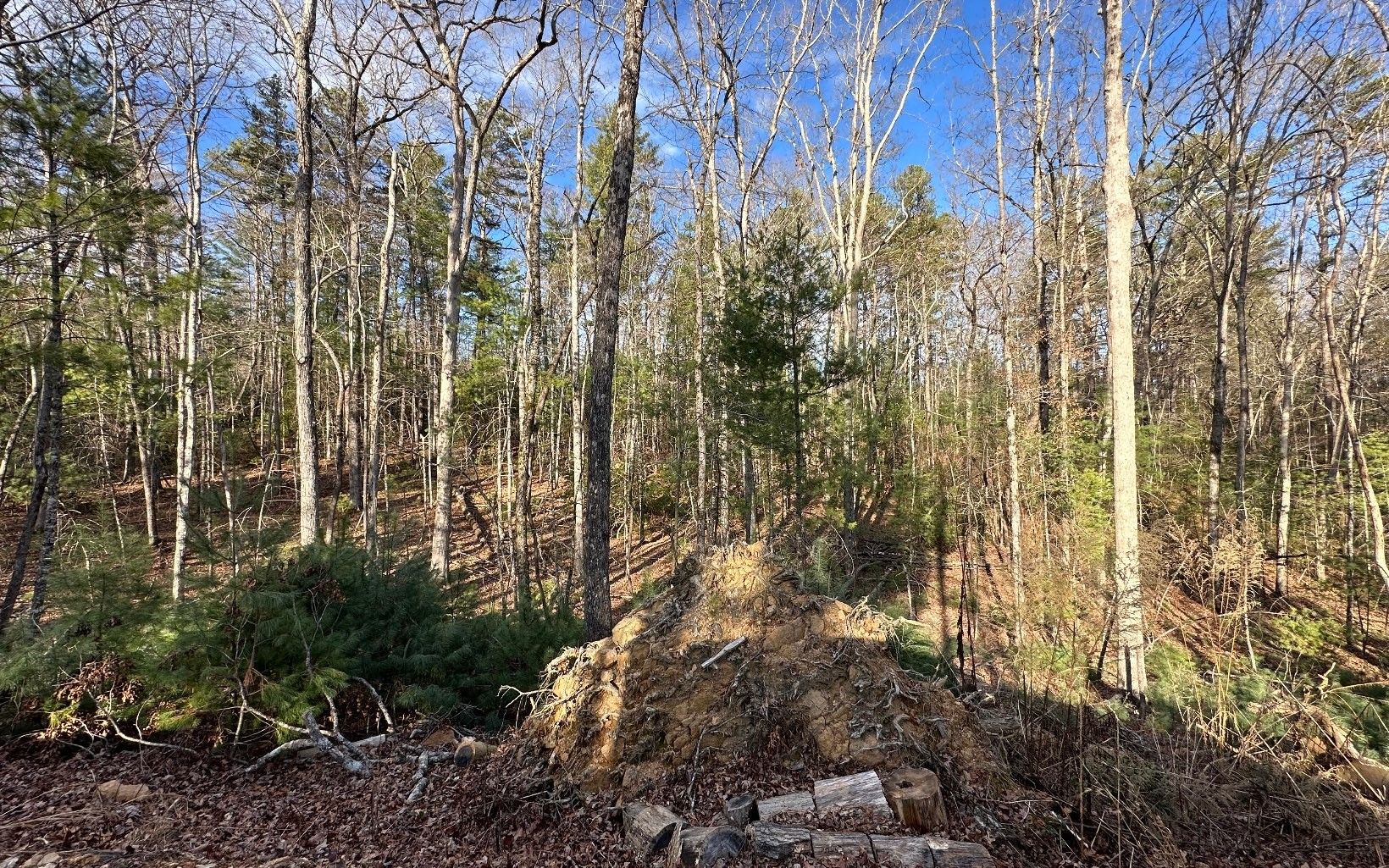 Blue Ridge, Fannin County, GA Homesites for sale Property ID 418558568