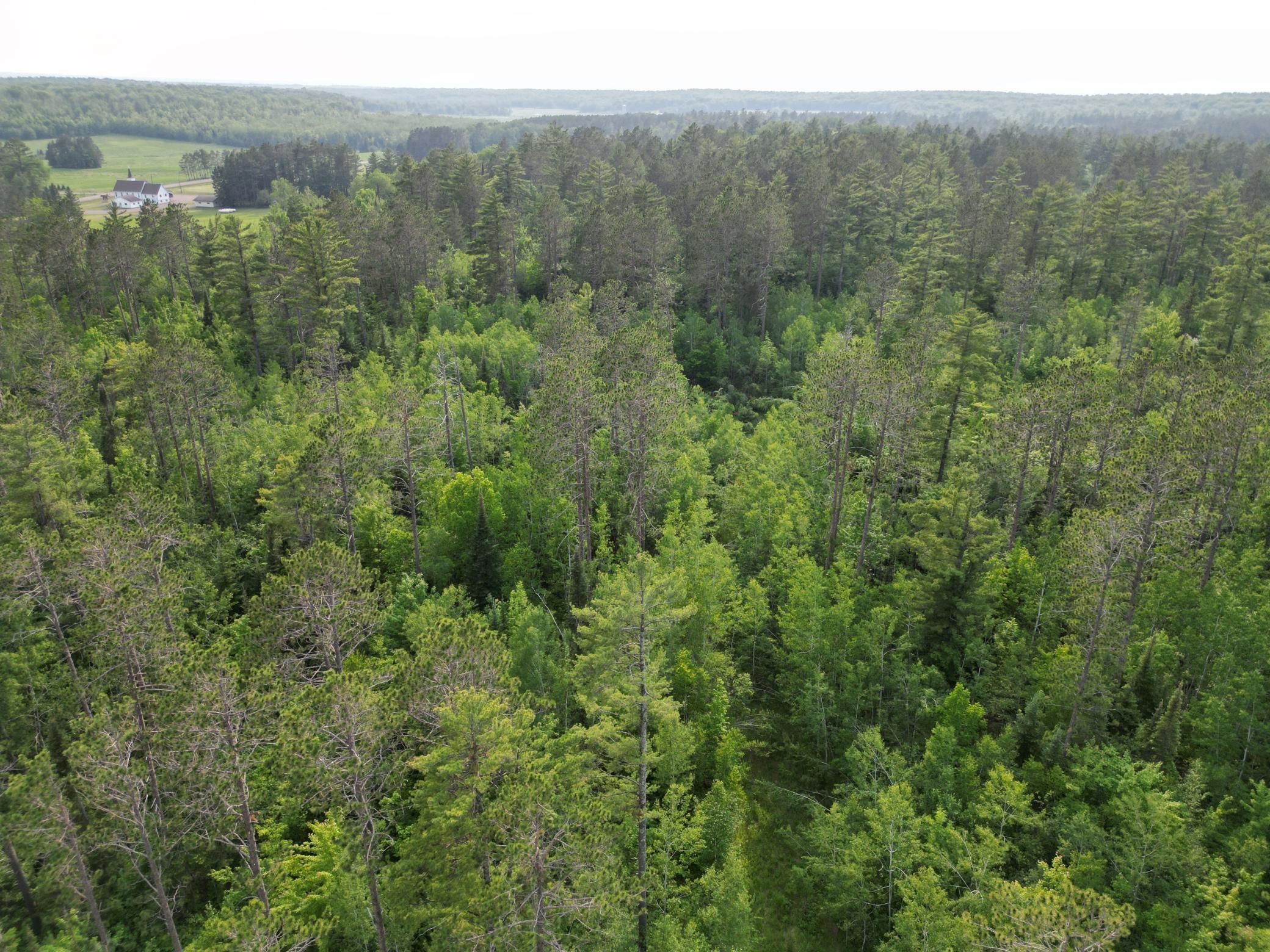 Mason, Bayfield County, WI Undeveloped Land for sale Property ID 416687458 LandWatch