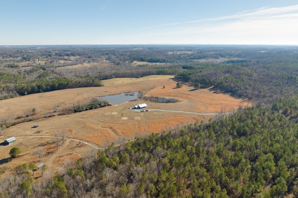 Jones Chapel, Cullman County, AL Undeveloped Land for sale Property ID
