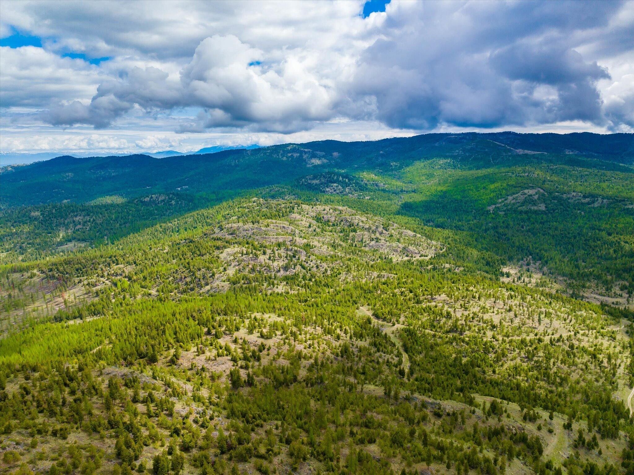 Kila, Flathead County, MT Undeveloped Land for sale Property ID