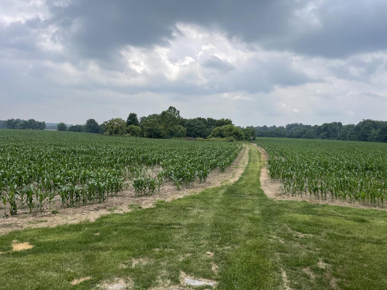 Canaan, Switzerland County, IN Farms and Ranches, Recreational Property, Hunting Property for