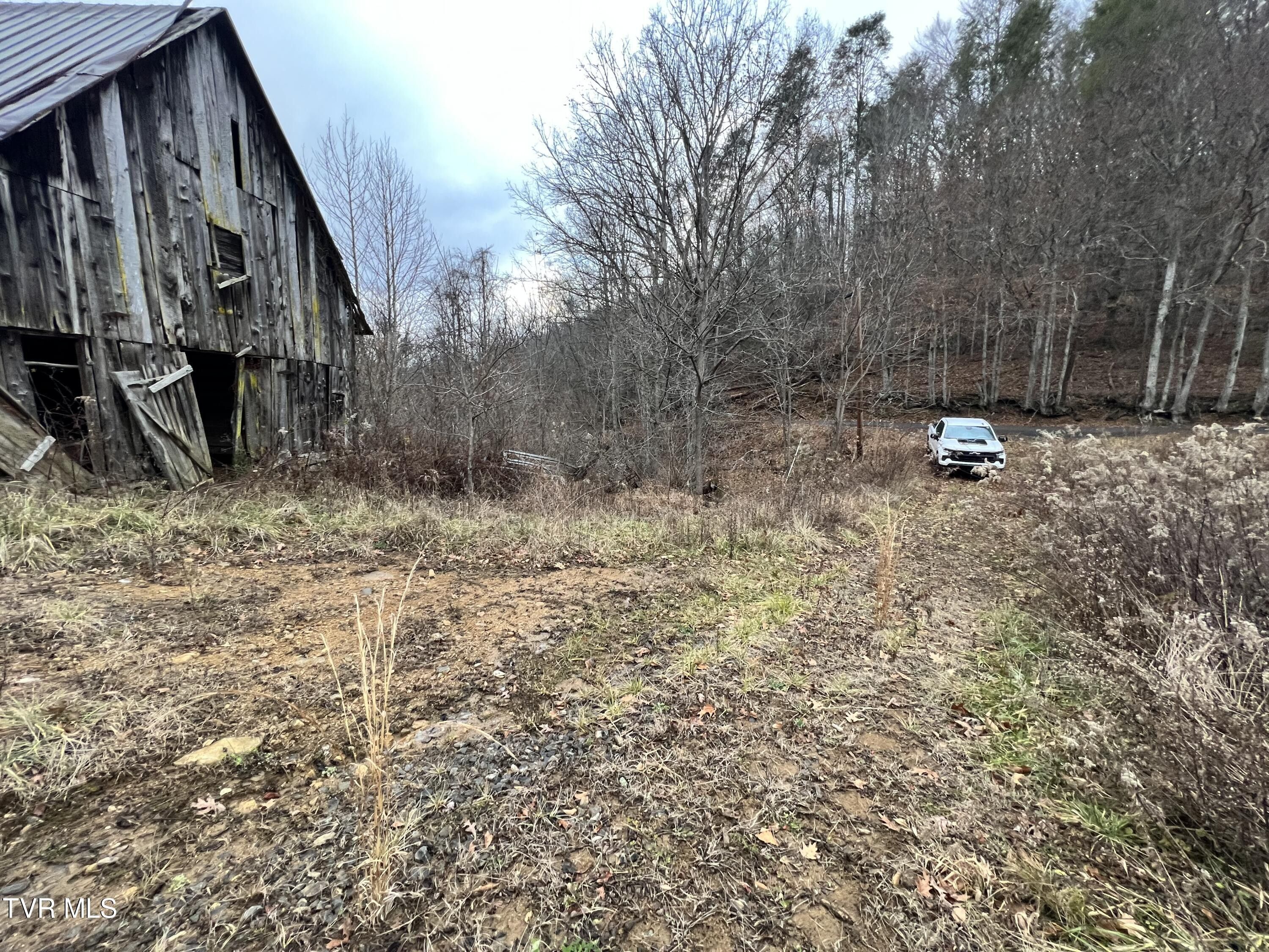 Roan Mountain, Carter County, TN Undeveloped Land for sale Property ID