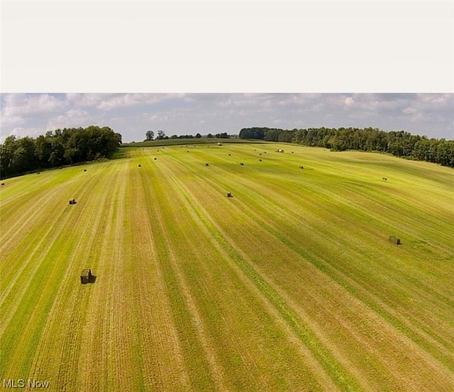 Wooster, Wayne County, OH Undeveloped Land for sale Property ID