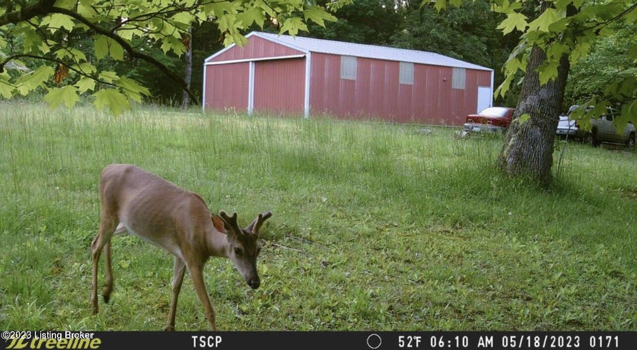 Irvington, Breckinridge County, KY for sale Property ID 418562710