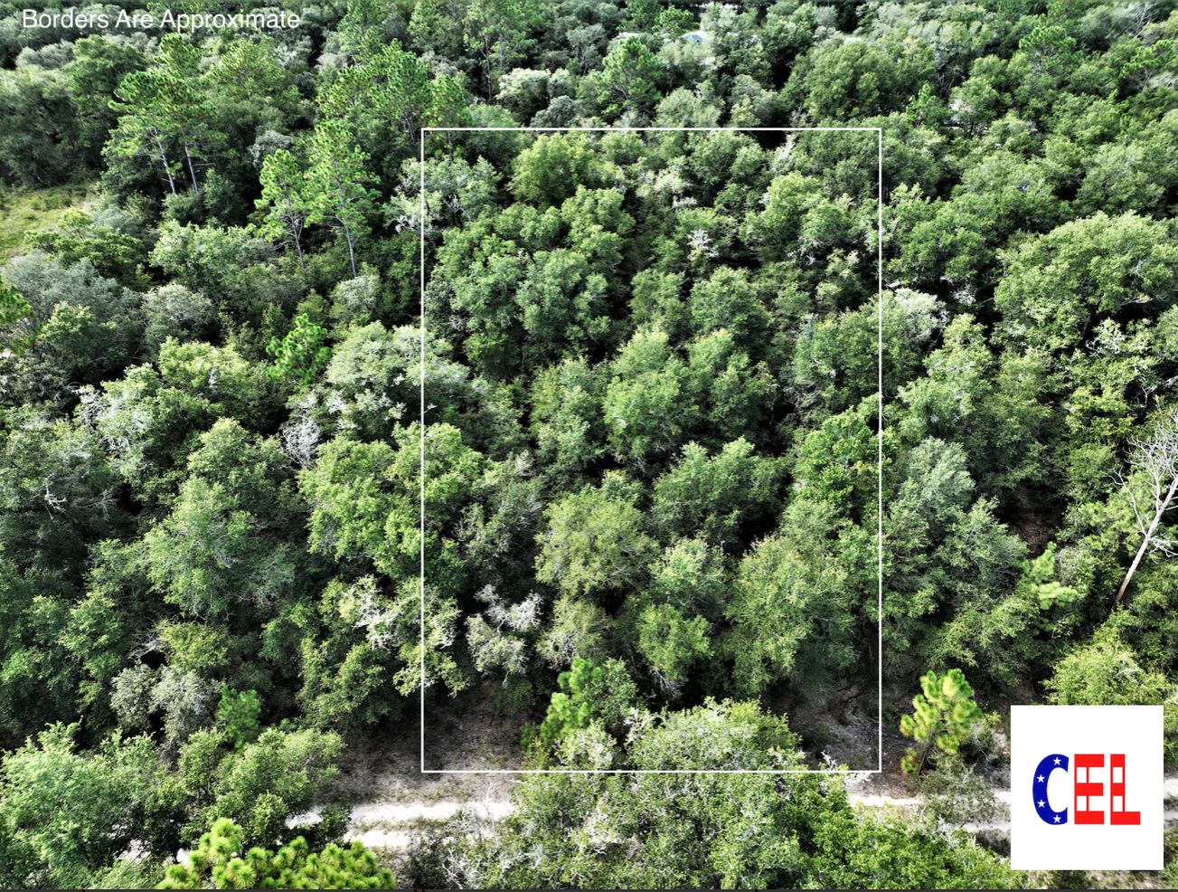 Bronson, Levy County, FL Undeveloped Land, Homesites for sale Property