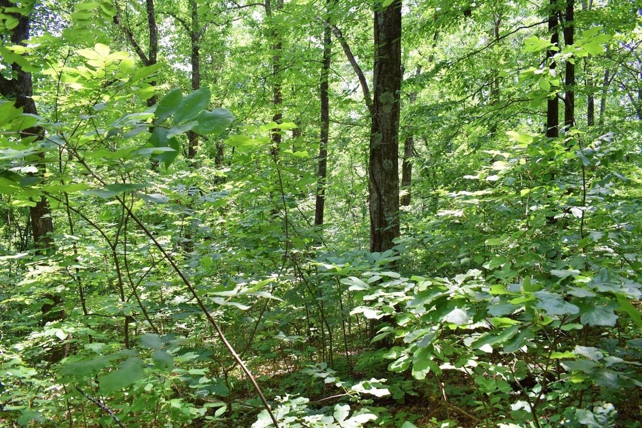 Landrum, Spartanburg County, SC Undeveloped Land, Homesites for sale