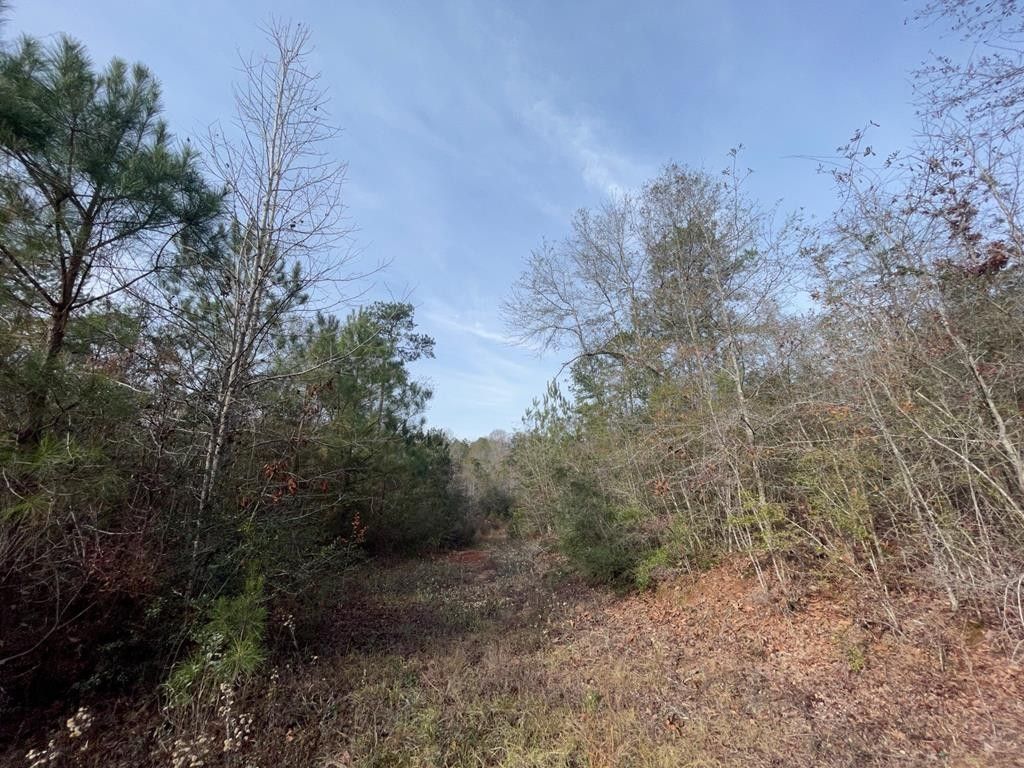 Magnolia, Pike County, MS Undeveloped Land for sale Property ID