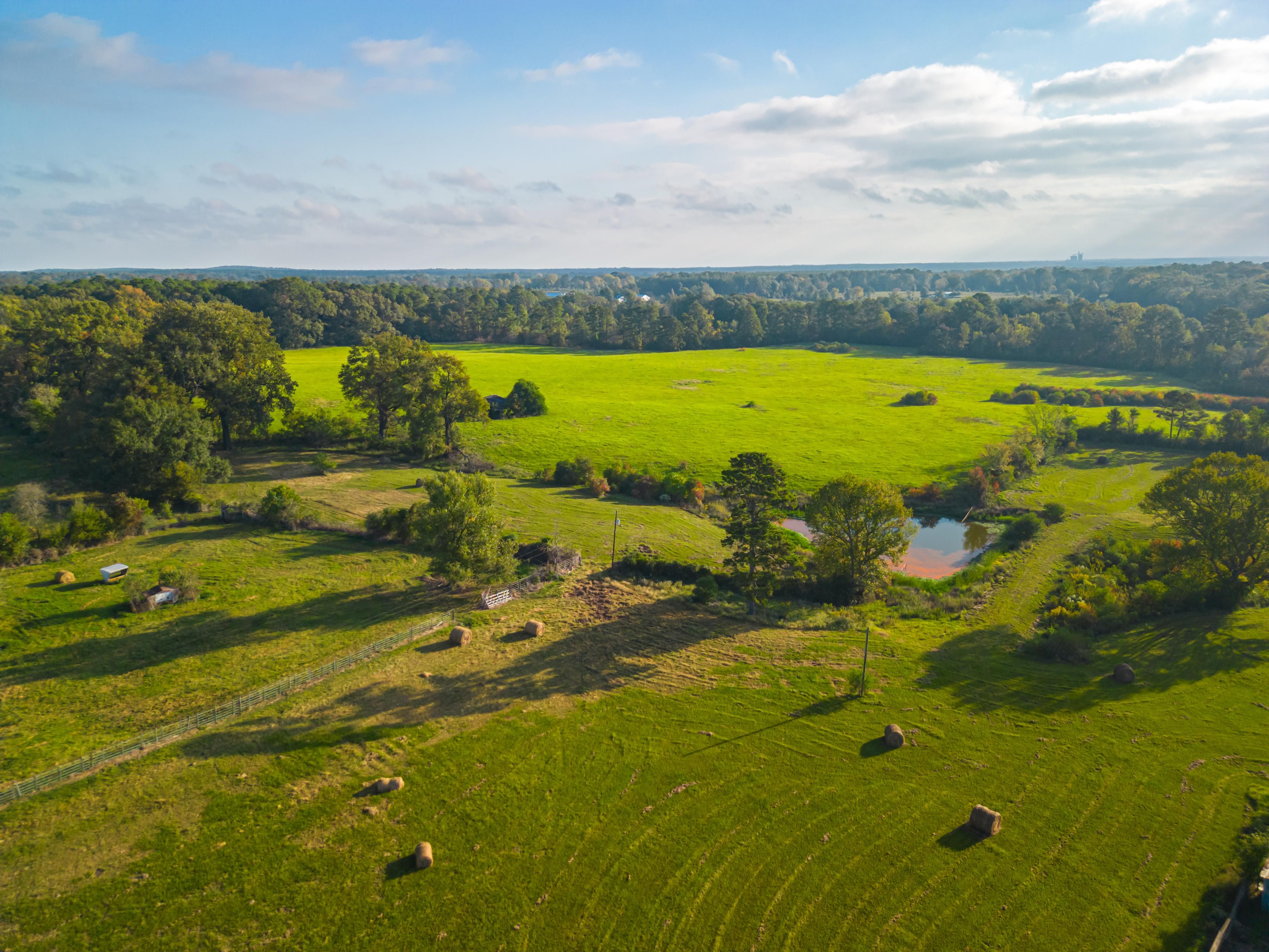 119 acres in Timpson, TX, 75975 LandWatch