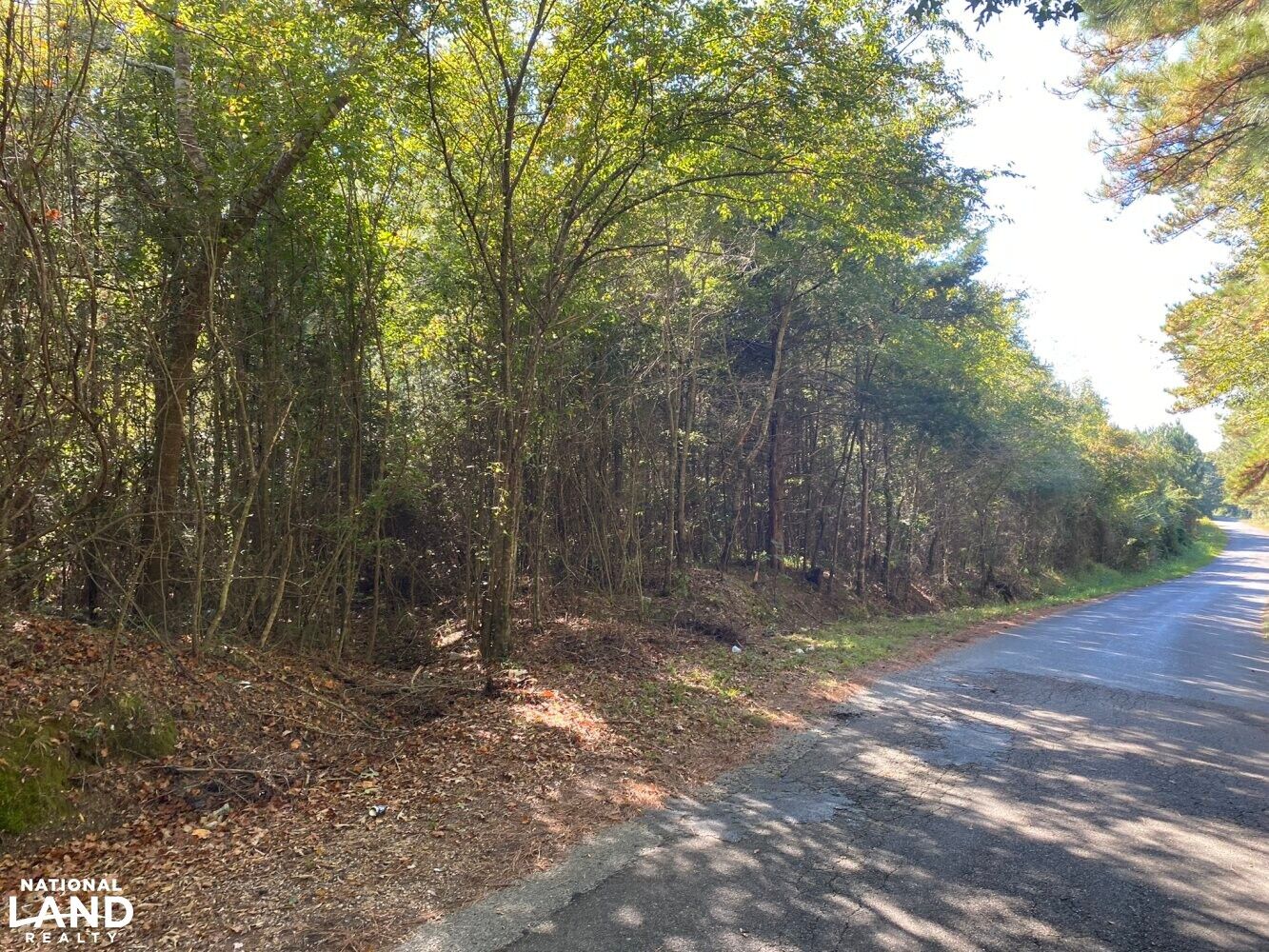 Prentiss, Jefferson Davis County, MS Timberland Property, Undeveloped Land, Hunting Property for