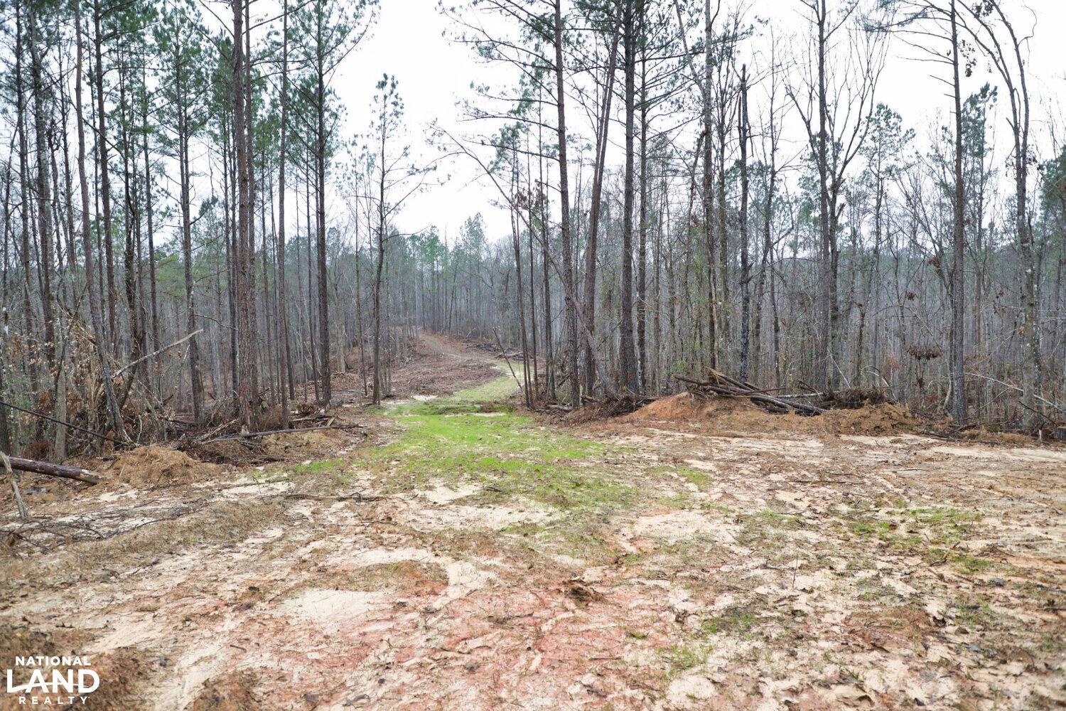 0 Forest Road 104 D, Meadville, MS 39653 LandWatch