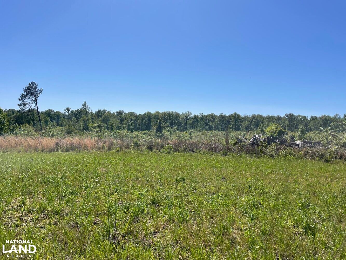 Coal Bluff Road, Pisgah, MS 39098 LandWatch