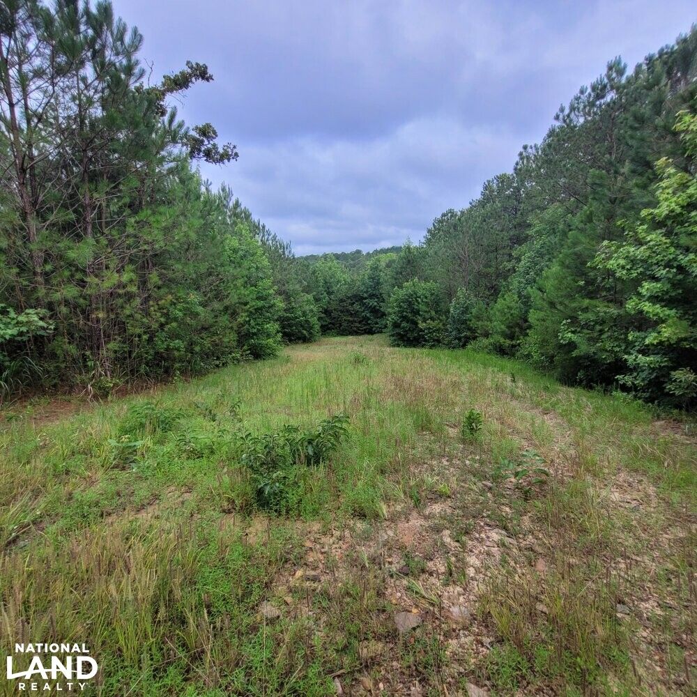 Brilliant, Marion County, AL Recreational Property, Timberland Property