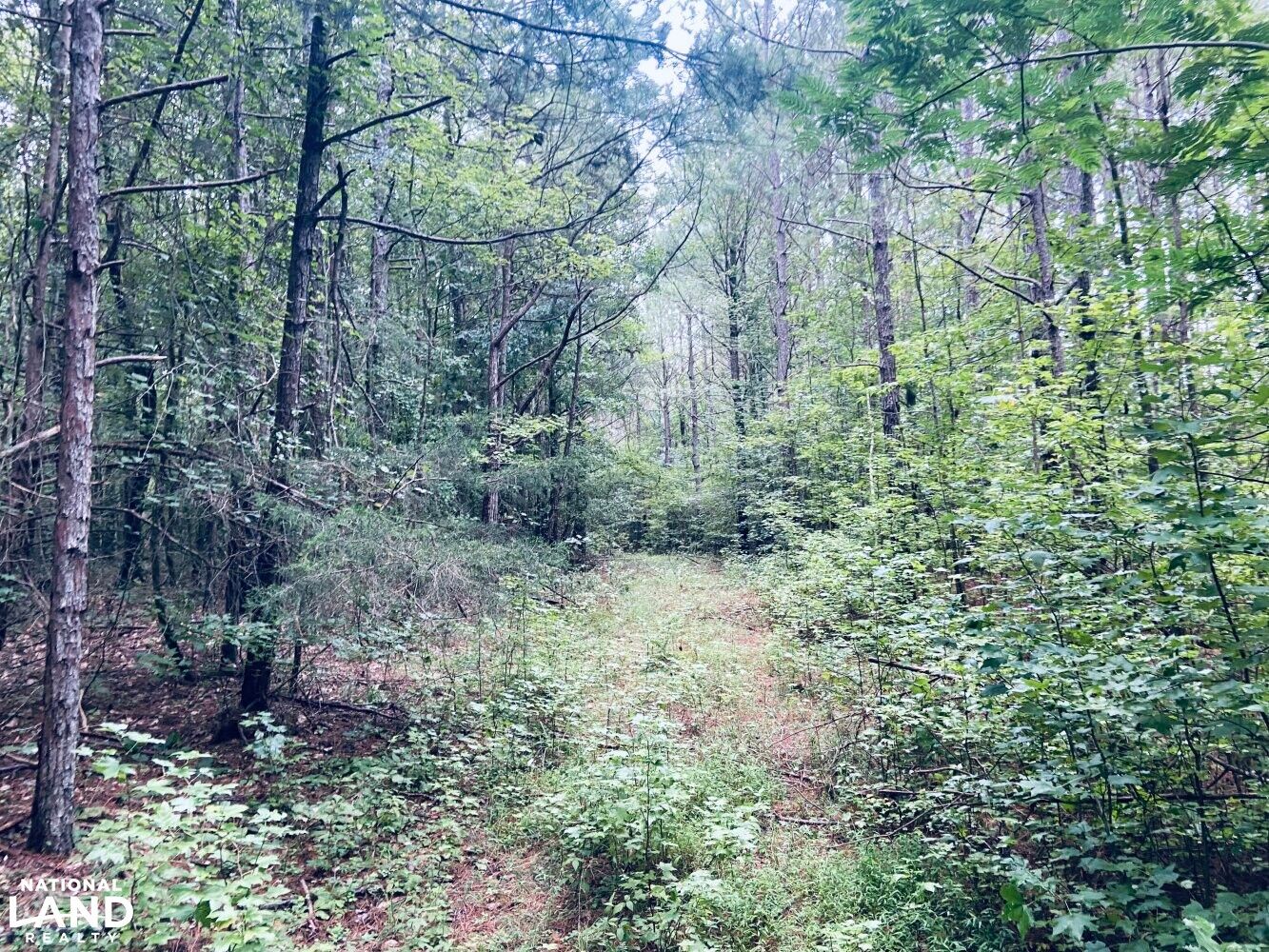 Corinth, Alcorn County, MS Recreational Property, Timberland Property