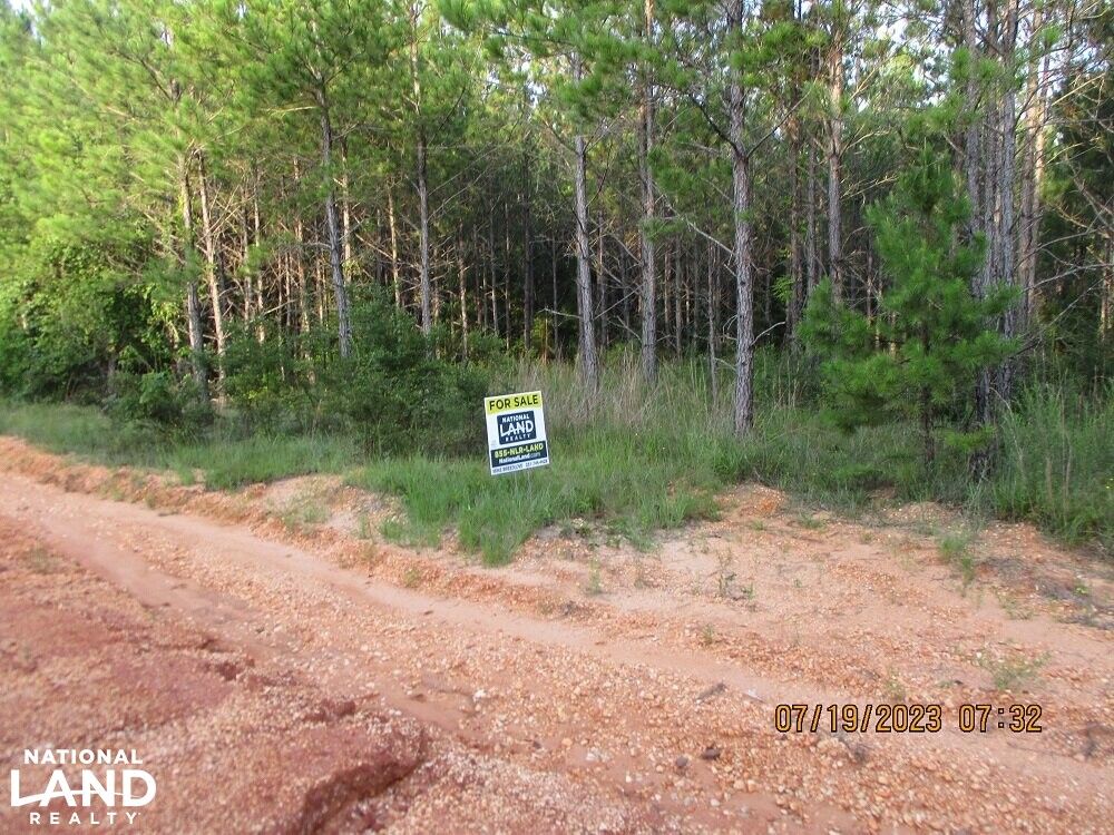 Grove Hill, Clarke County, AL Recreational Property, Timberland