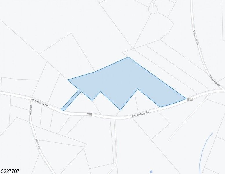 Milford, Hunterdon County, NJ Undeveloped Land for sale Property ID