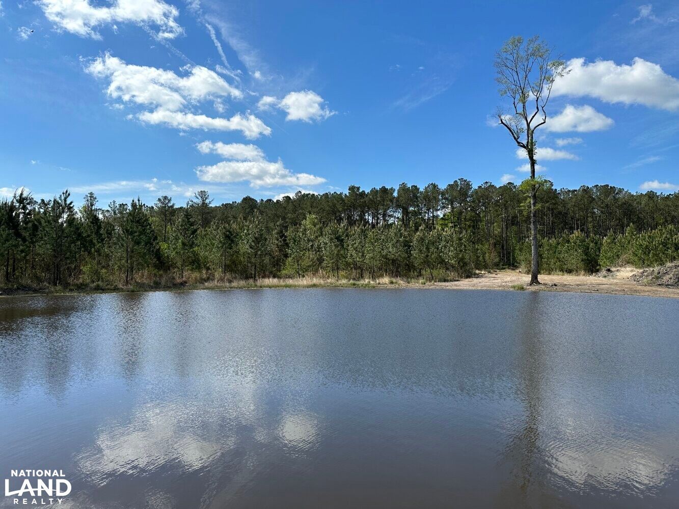 215 Rudd Drive, Ridgeville, SC 29472 LandWatch