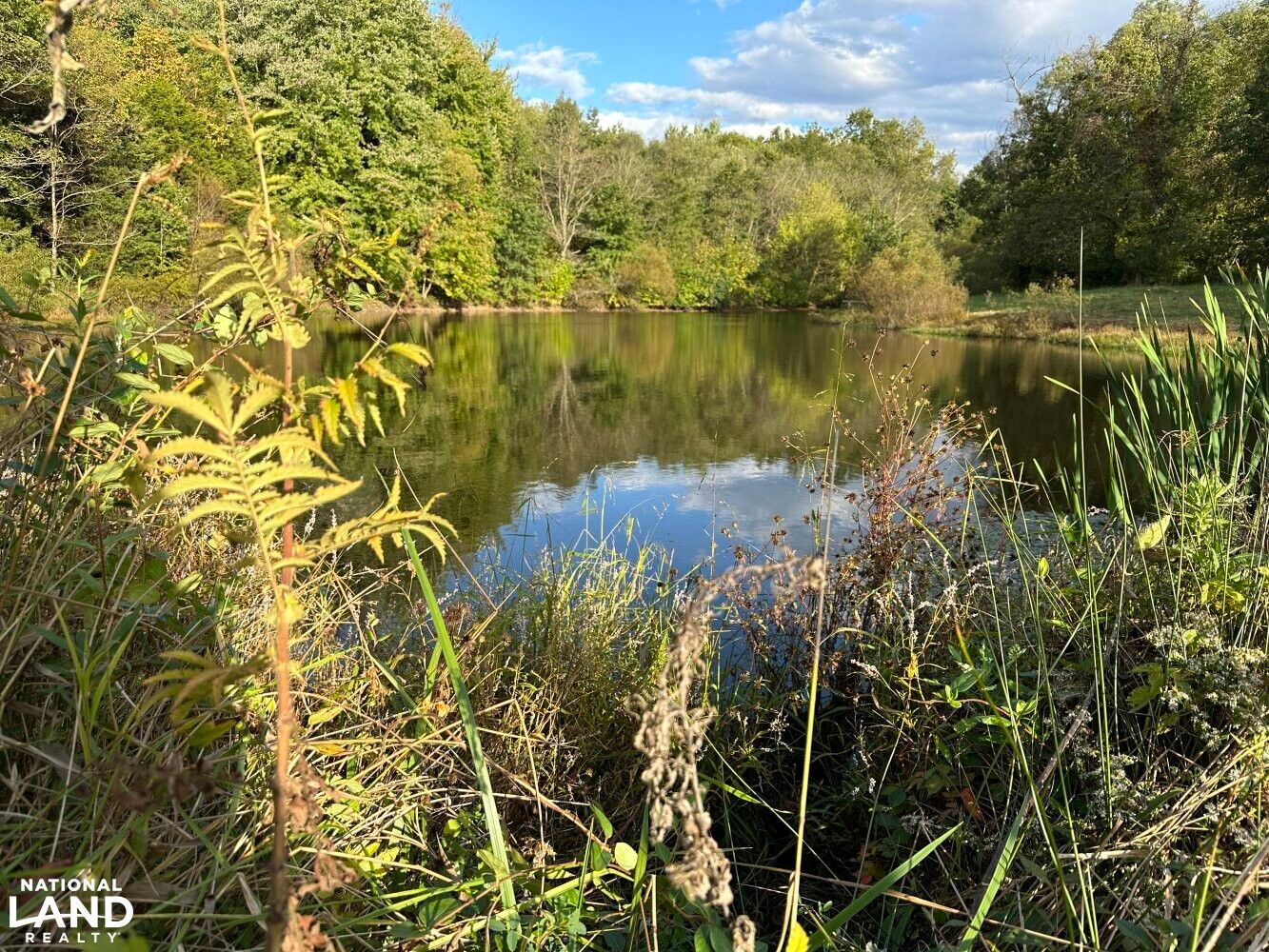 1630Trisler Rd, Hamersville, OH 45130 LandWatch