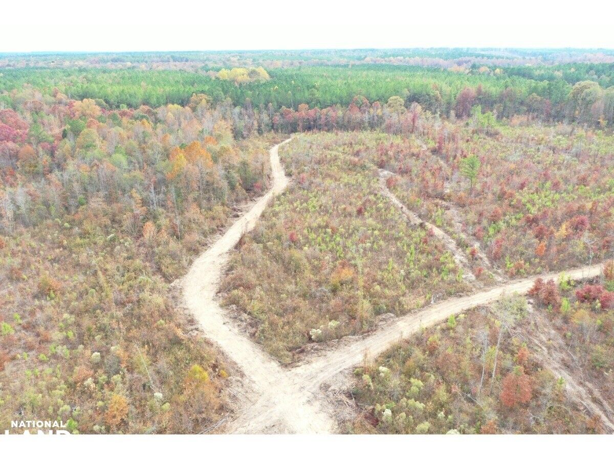 Kosciusko, Leake County, MS Recreational Property, Timberland Property