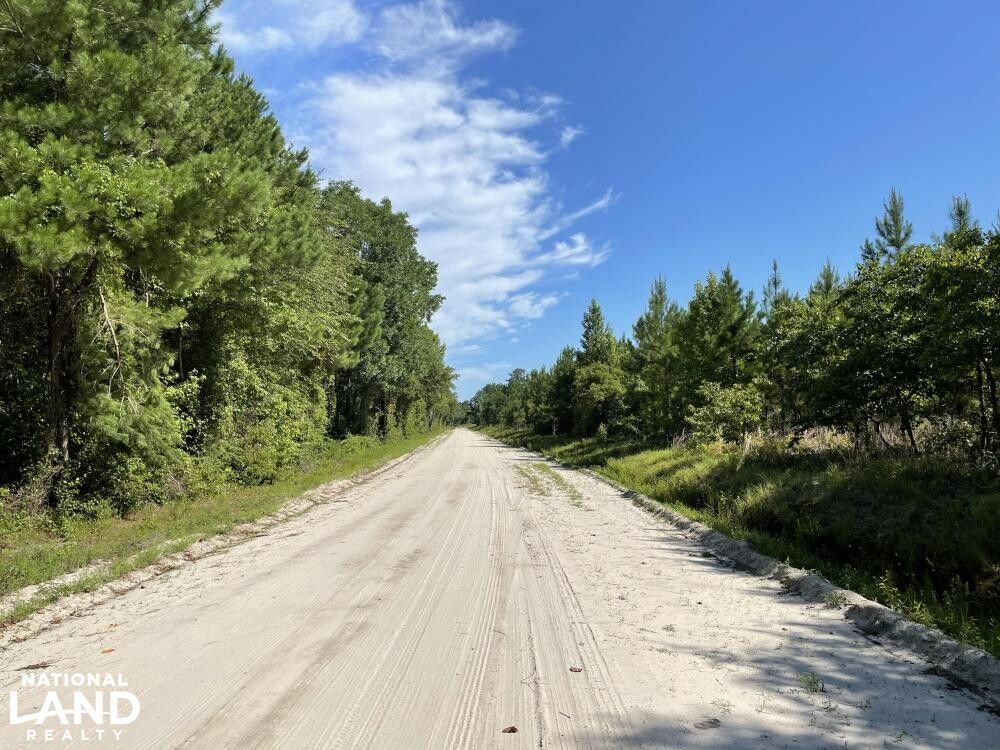 Branchville, Orangeburg County, SC Recreational Property, Timberland