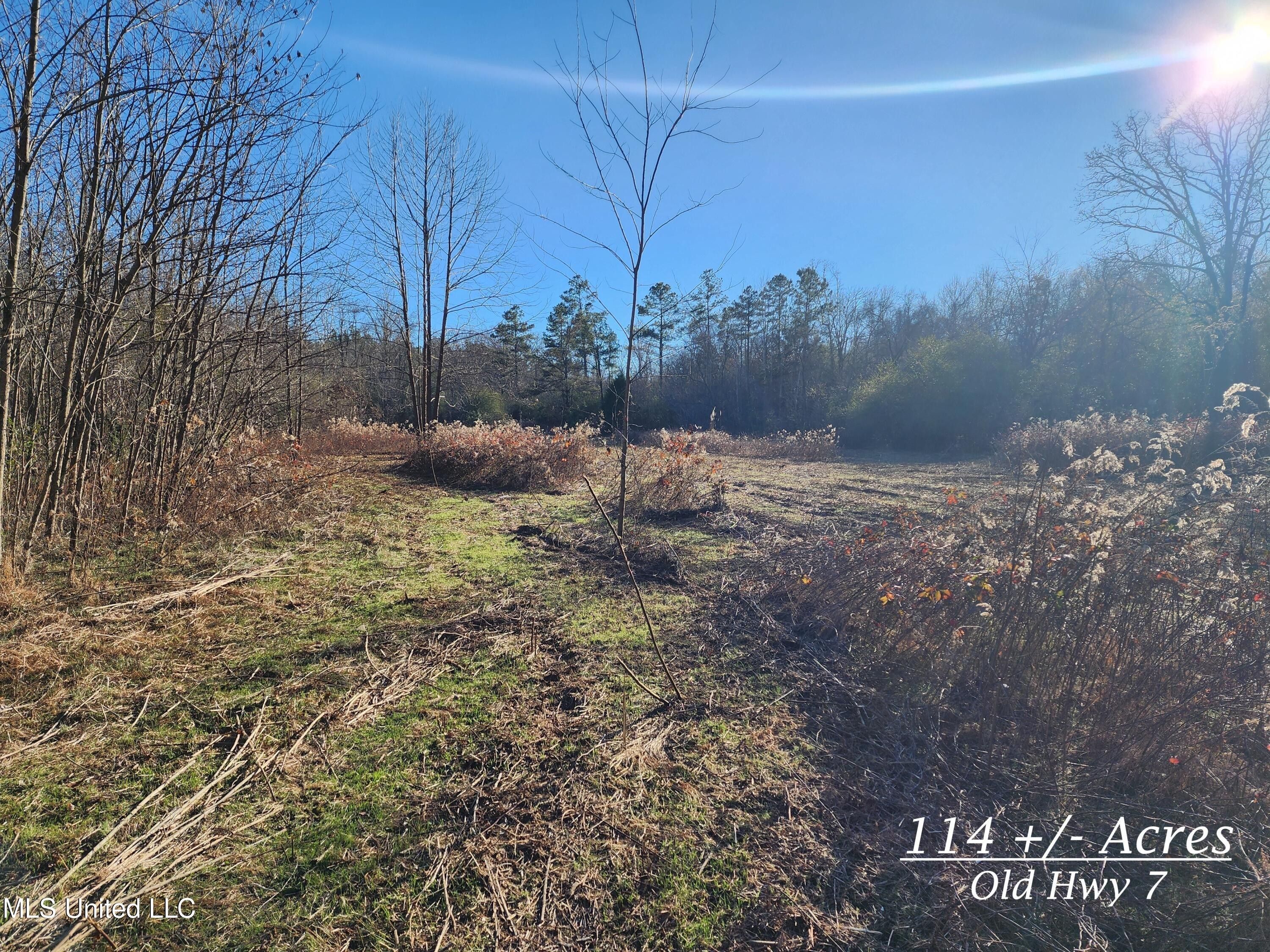 Holly Springs, Marshall County, MS Undeveloped Land for sale Property ID 418565260 LandWatch