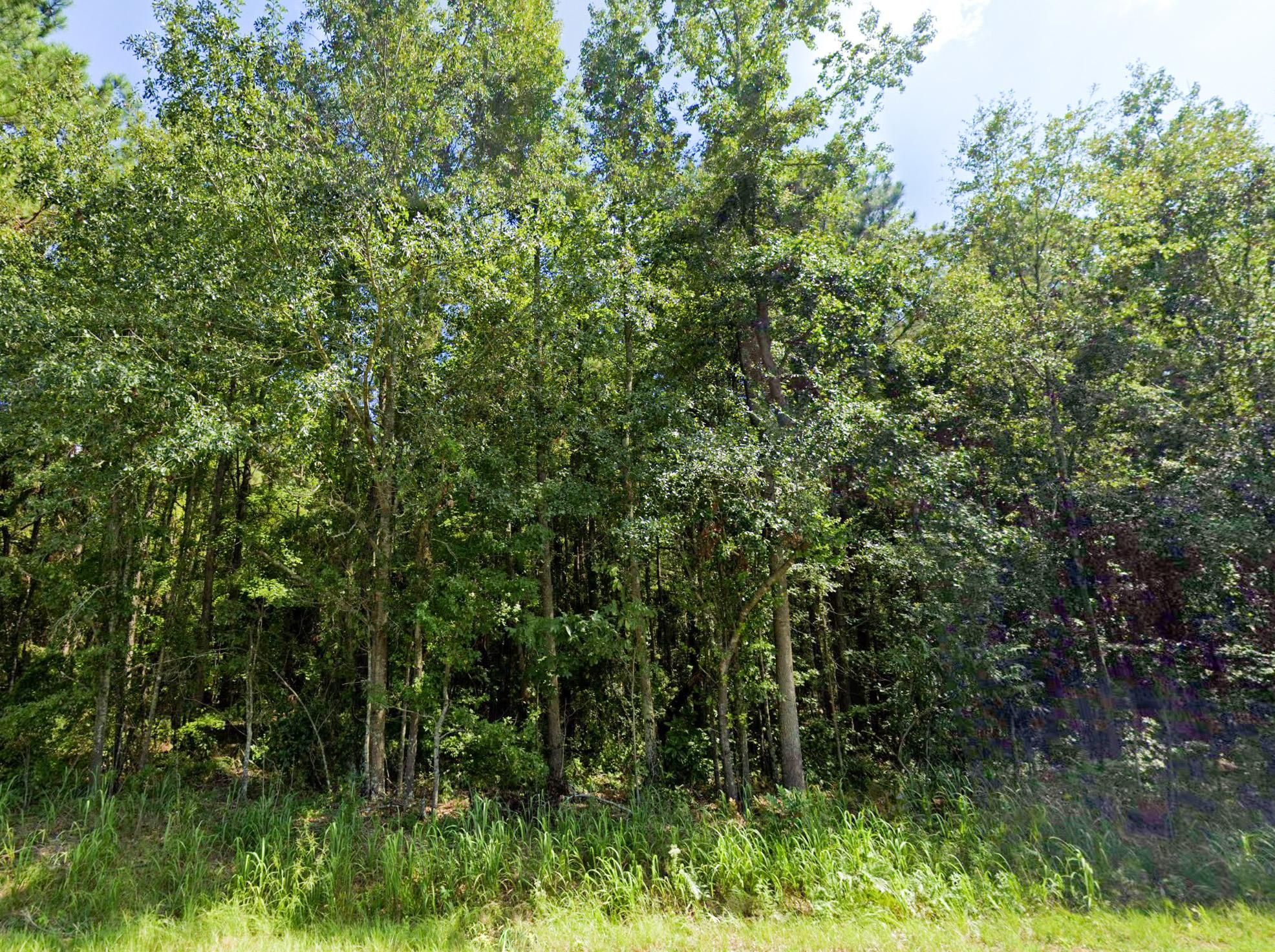 Jenkinson Rd, Pinewood, SC 29125 LandWatch
