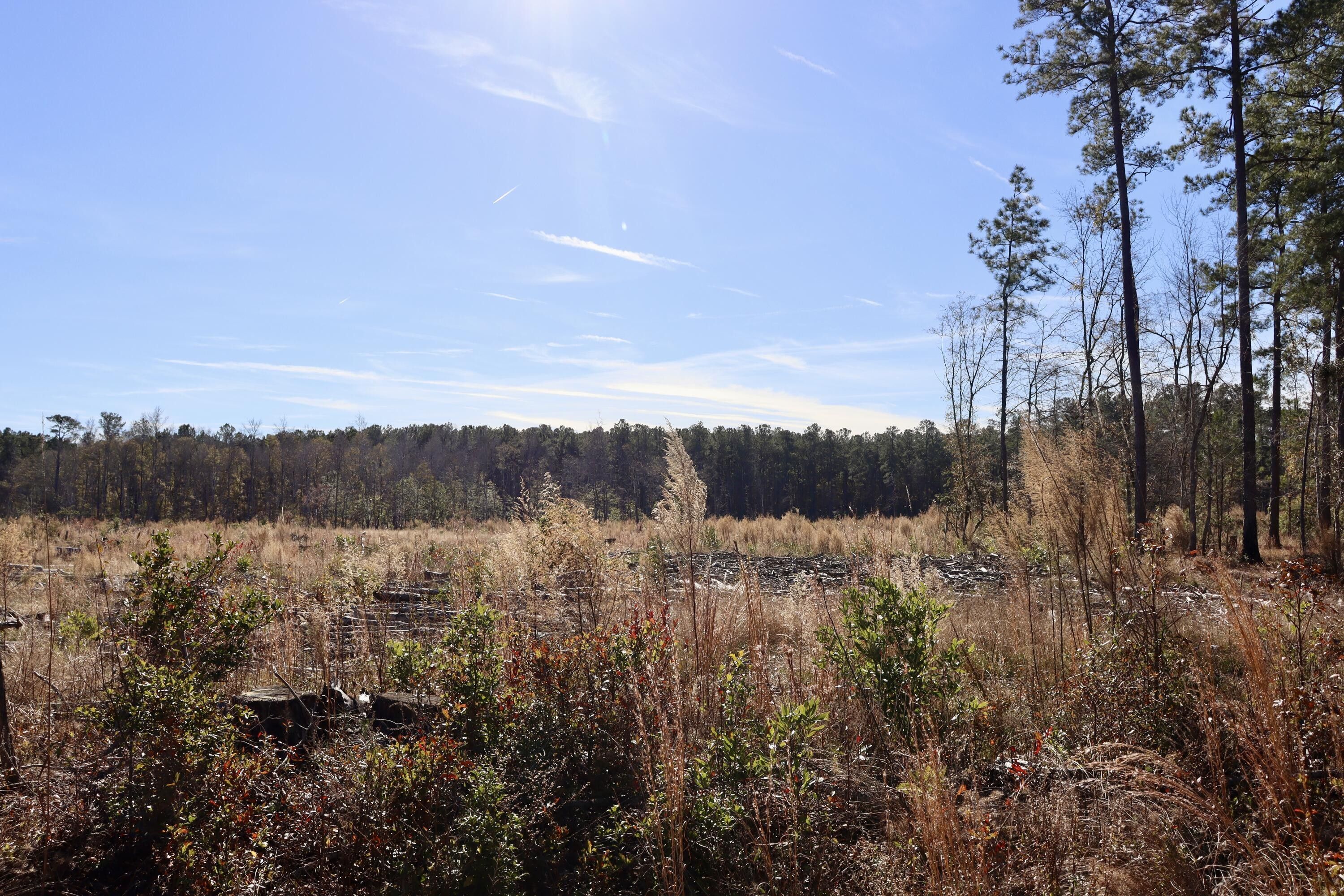Moncks Corner, Berkeley County, SC Undeveloped Land for sale Property