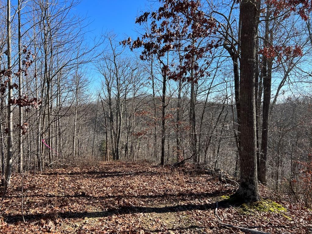 Whitleyville, Jackson County, TN Undeveloped Land for sale Property ID 418567416 LandWatch