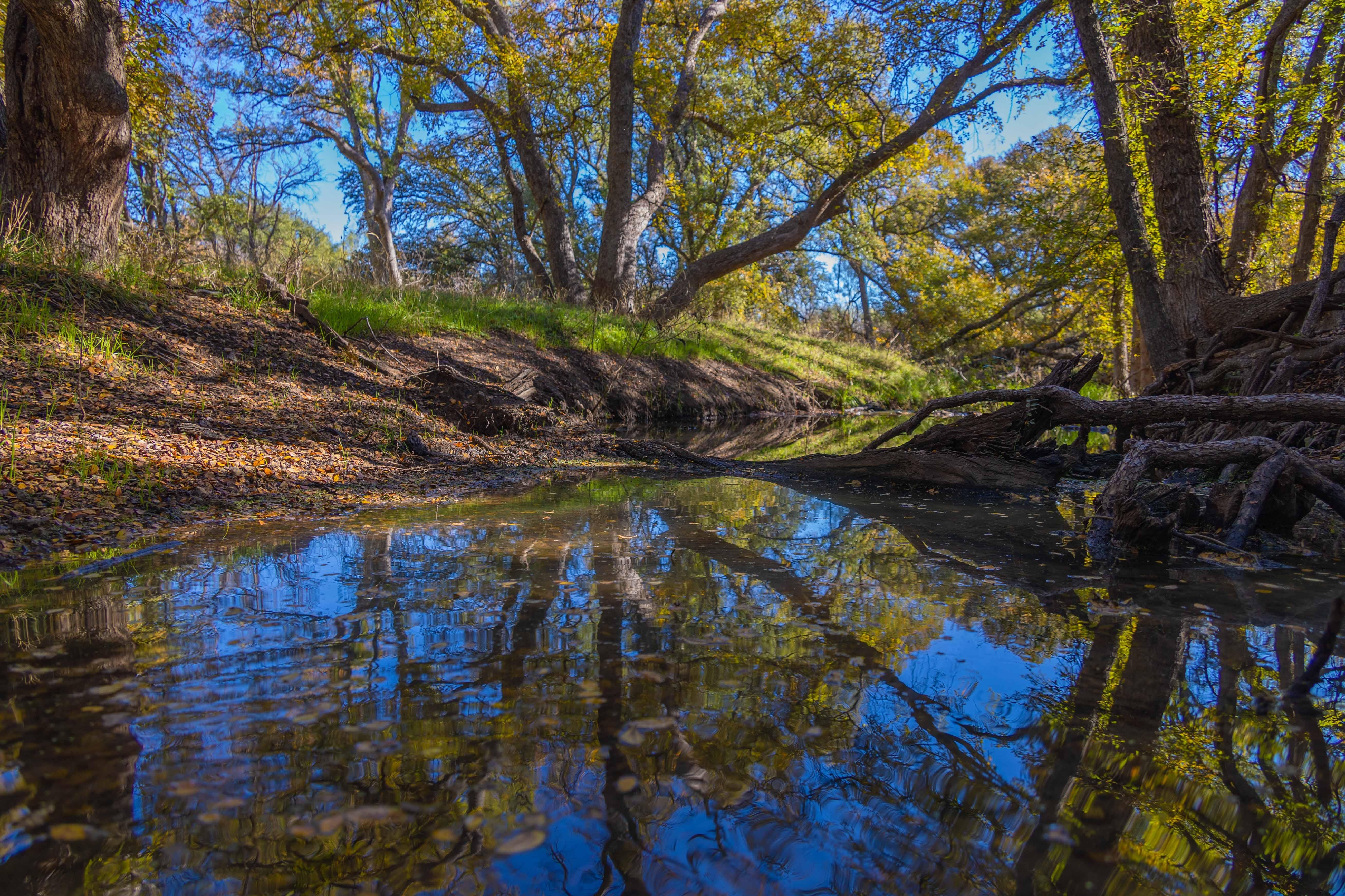 7475 County Road 196, Bangs, TX 76823 MLS 20501063 LandWatch