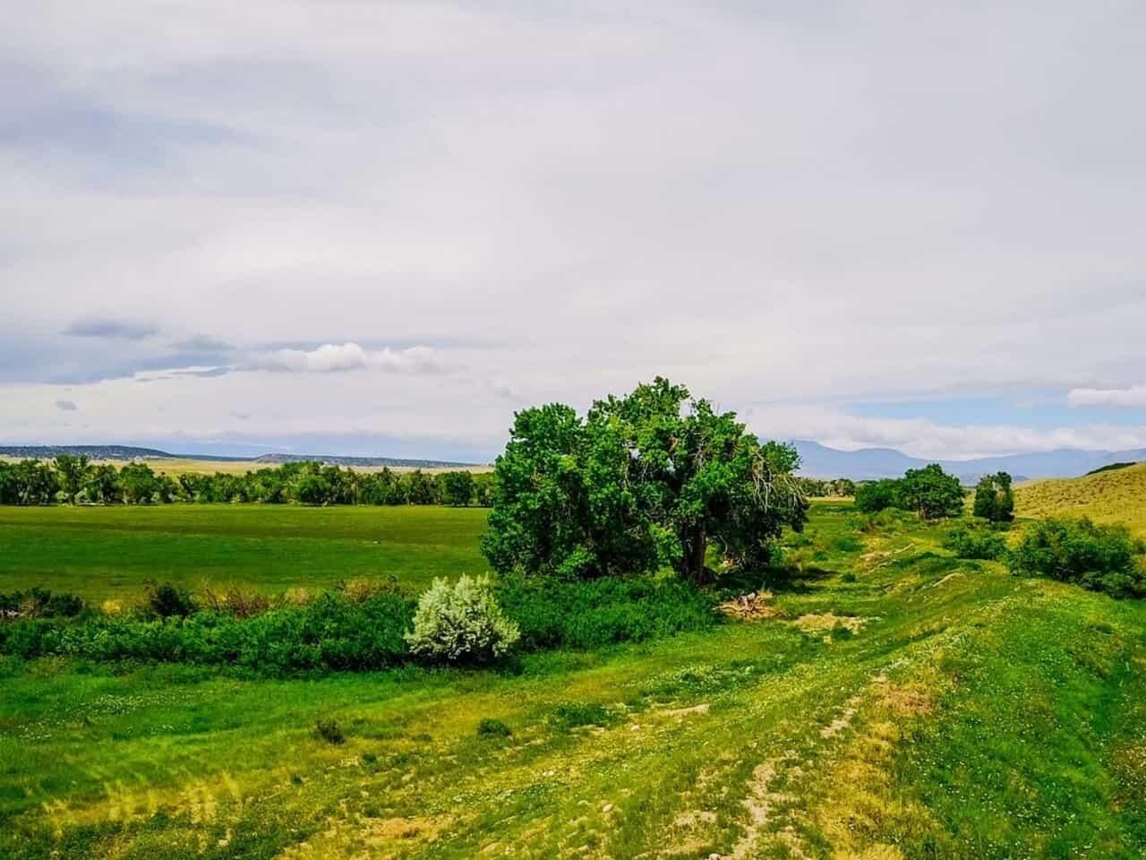 Walsenburg, Huerfano County, CO Farms and Ranches, Horse Property for
