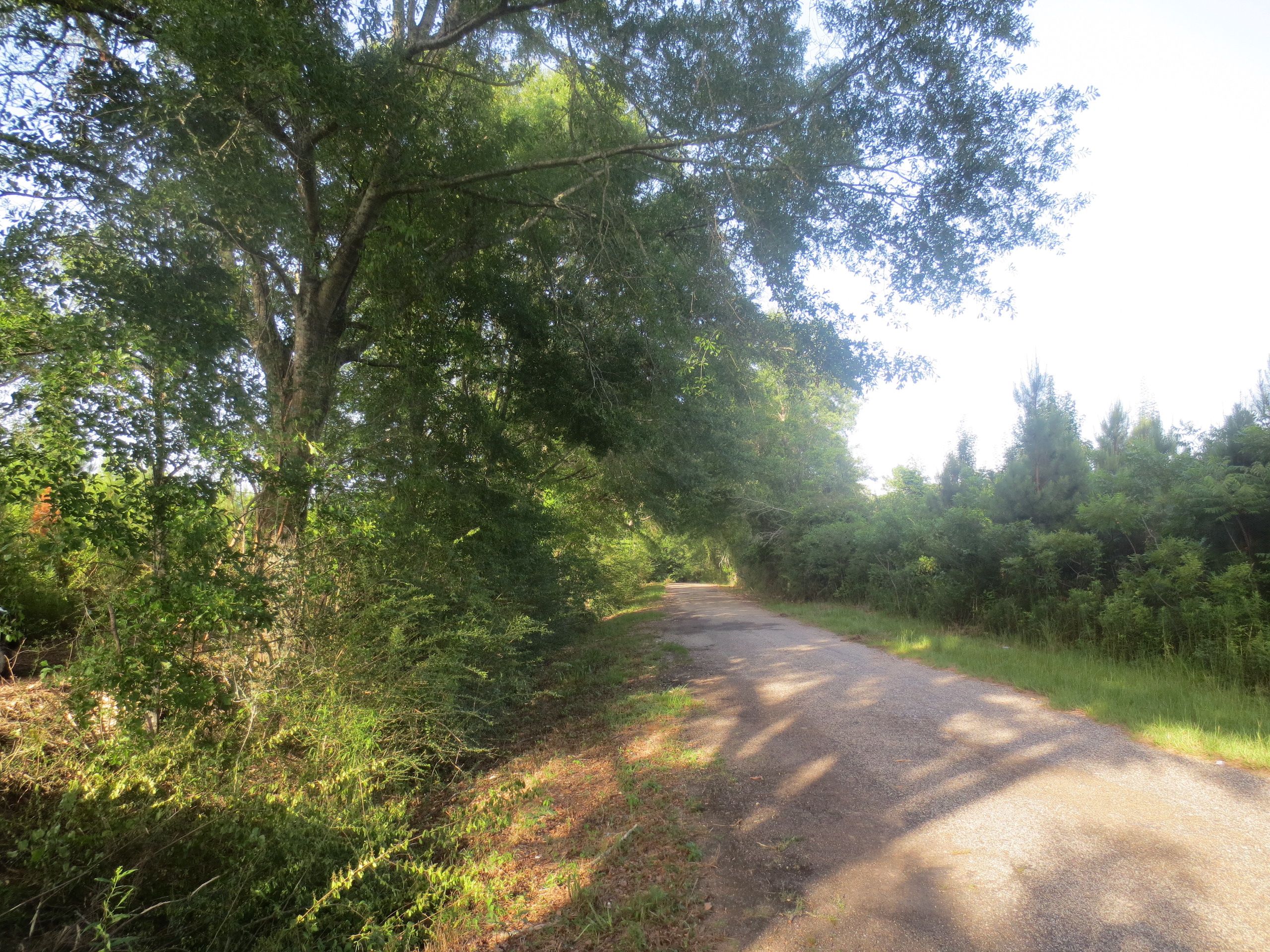 Foxworth, Marion County, MS Recreational Property, Timberland Property