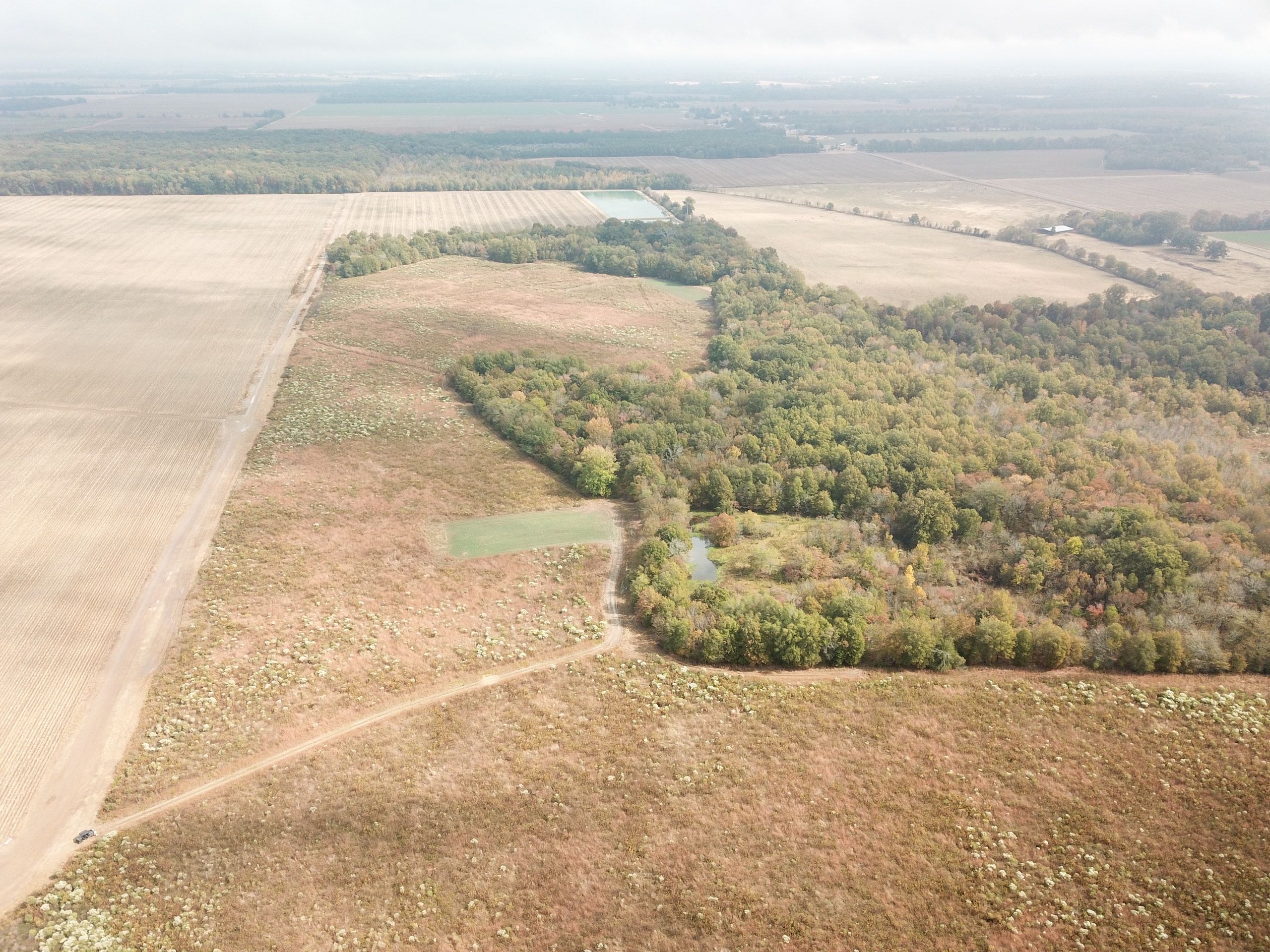 Winnsboro, Franklin Parish, LA Recreational Property, Timberland